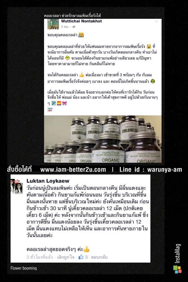 คลอเรลล่า chlorella ช่วยให้หายจากลมพิษเรื้อรัง,ออร์แกนิกคลอเรลล่าfebico