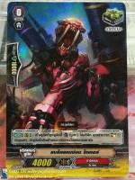 PR/0622TH คริติคอล แบล็คแคนน่อน ไทเกอร์