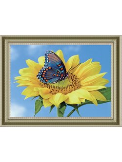 1539 ภาพ diamond "ผีเสื้อสวยวันฟ้าใส"