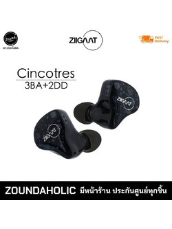 ZiiGaat Cincotres