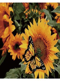 CE4244 ภาพระบายสีตามตัวเลข "ผีเสื้อกับดอกทานตะวัน"