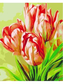 CE4554 ภาพระบายสีตามตัวเลข "พุ่มดอกทิวลิป"