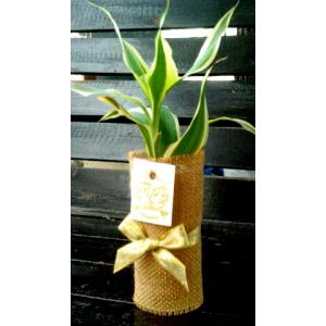 ของชำร่วย ราคาถูก