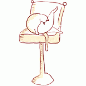 นิตยสารแฟชั่น