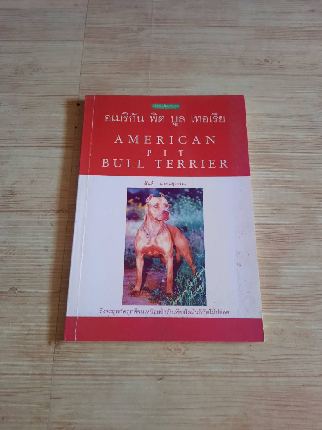 อเมริกัน พิต บูล เทอเรีย สันต์ นาคะสุวรรณ เขียน***สินค้าหมด***
