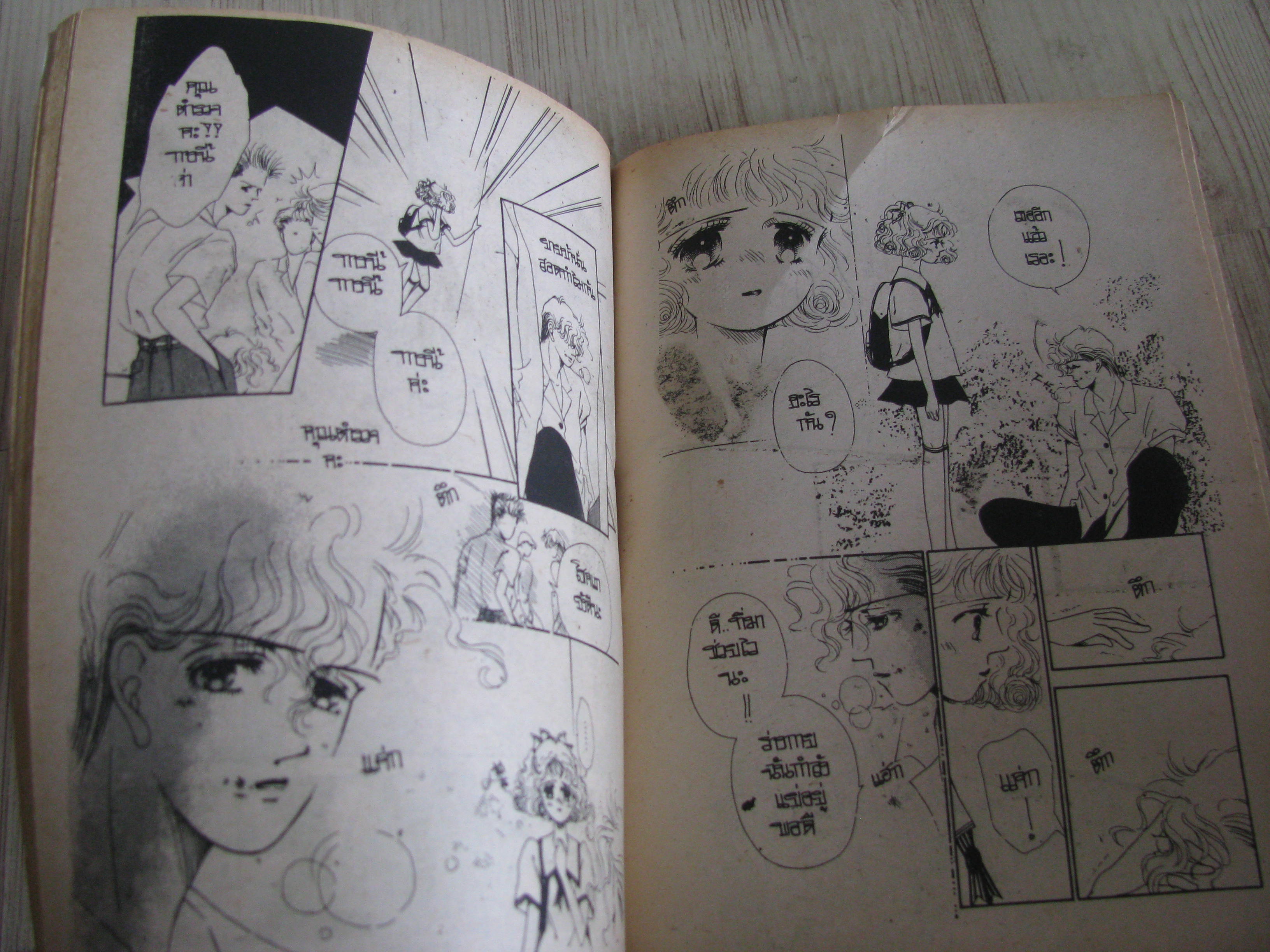 ใช่แล้วรักเลย เล่มเดียวจบ