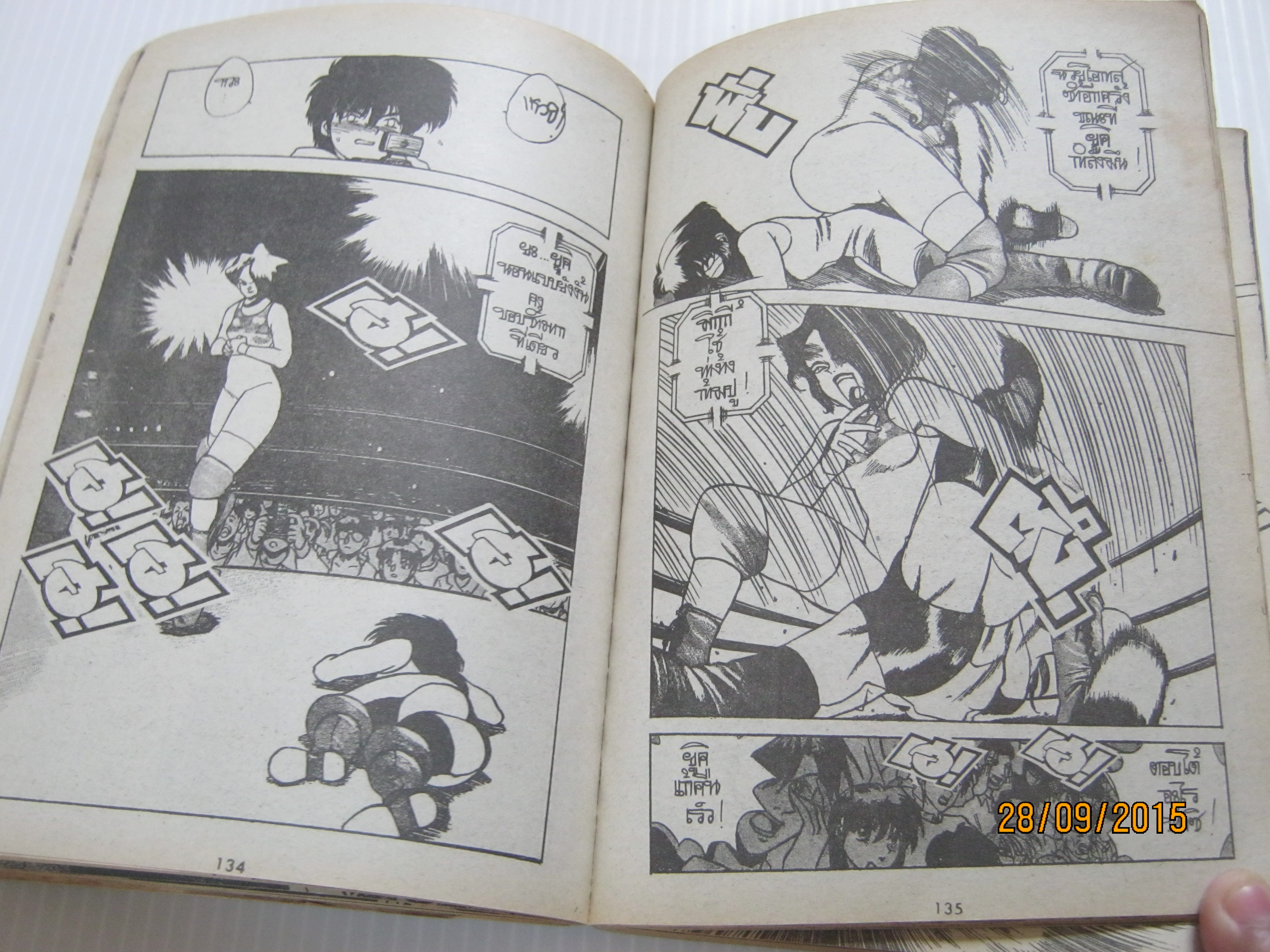 สาวเหล็กพายุหิมะ เล่มเดียวจบ