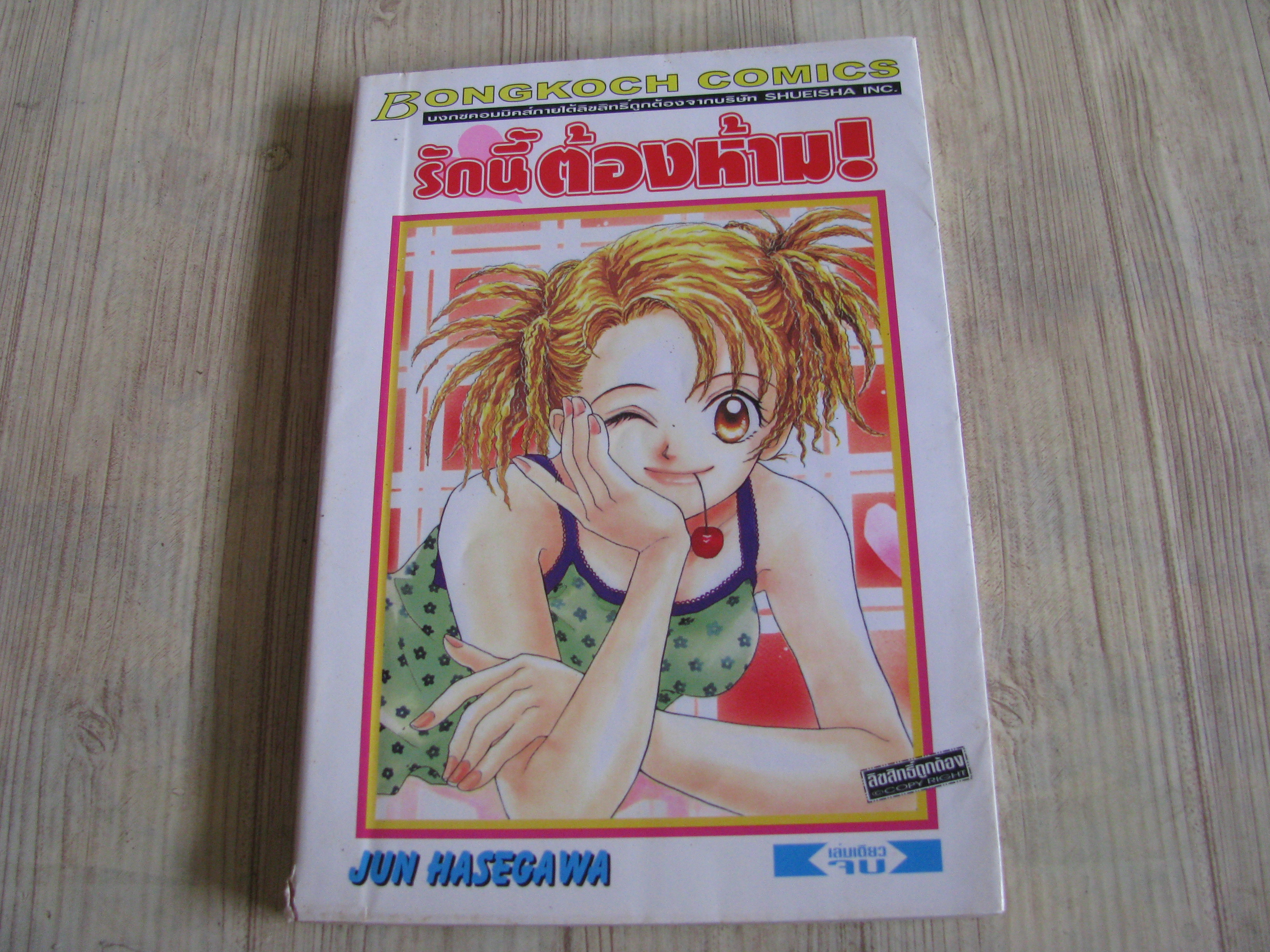 รักนี้ต้องห้าม เล่มเดียวจบ
