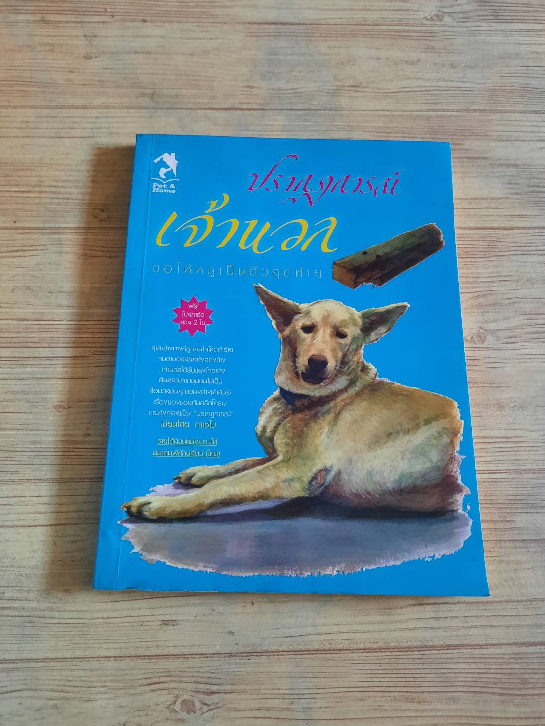 ปรากฏการณ์เจ้านวล ขอให้หนูเป็นตัวสุดท้าย กาเซโบ เขียน