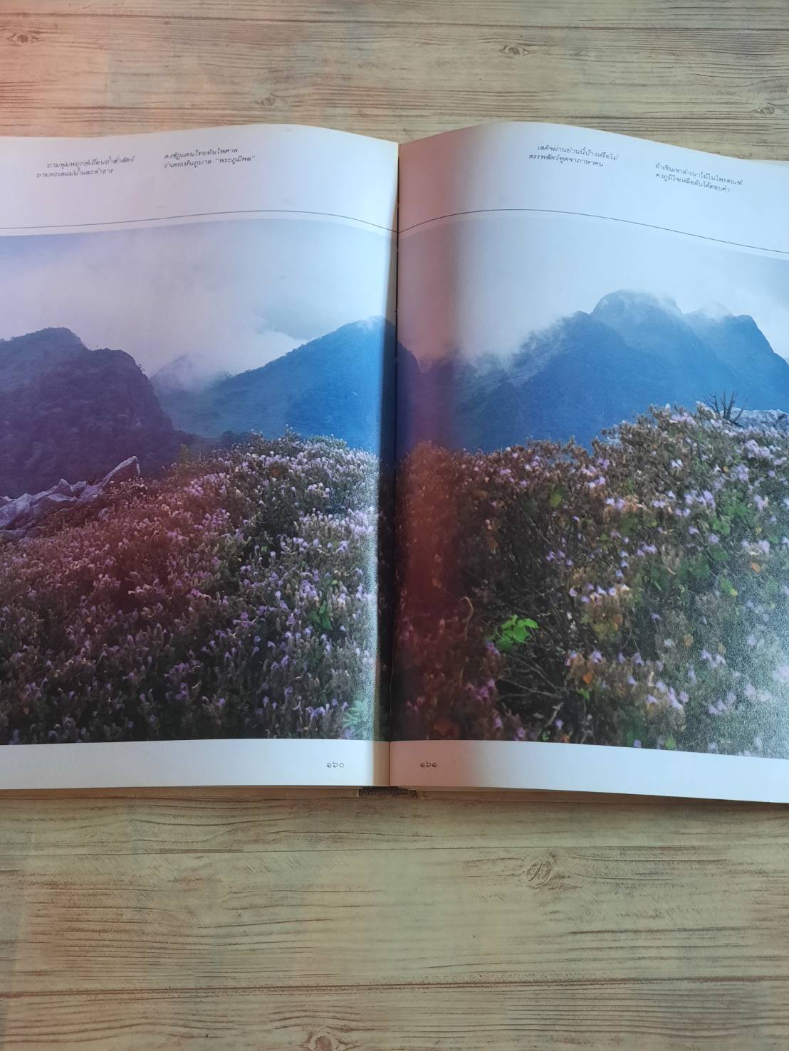 พรรณไม้ในสวนหลวง ร.๙