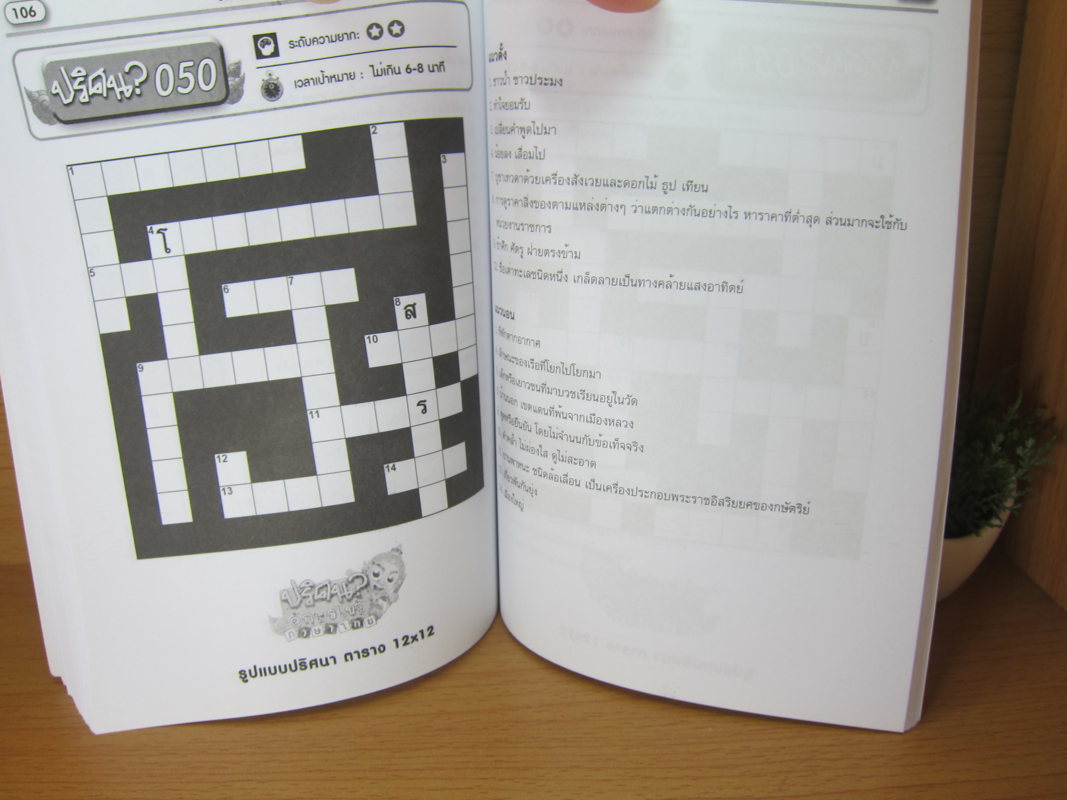 หนังสือปริศนาอักษรไขวภาษาไทย