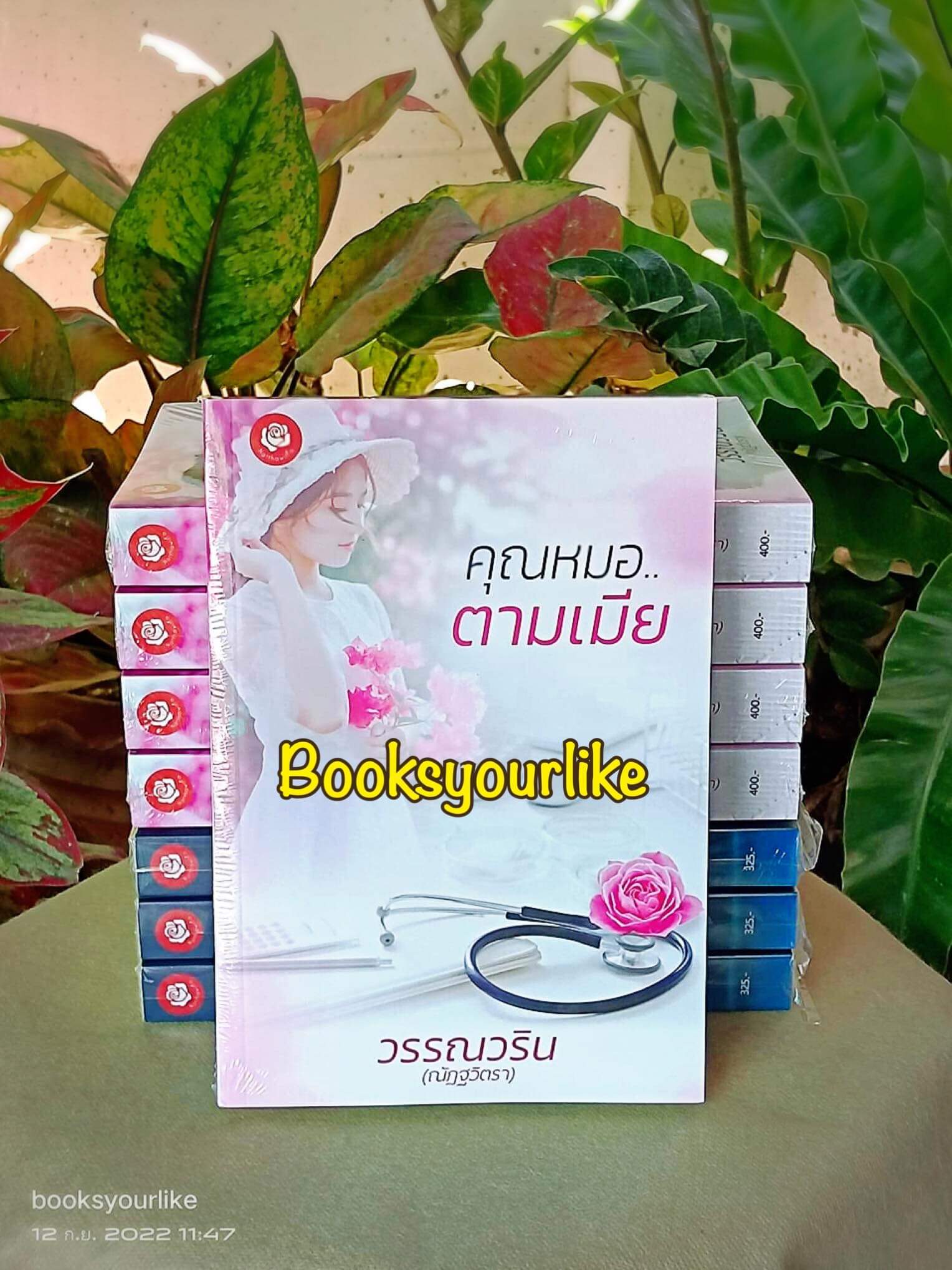 คุณหมอตามเมีย,ผู้แต่ง,วรรณวริน,ณัฏฐวิตรา,,นิยายรักทำมือ