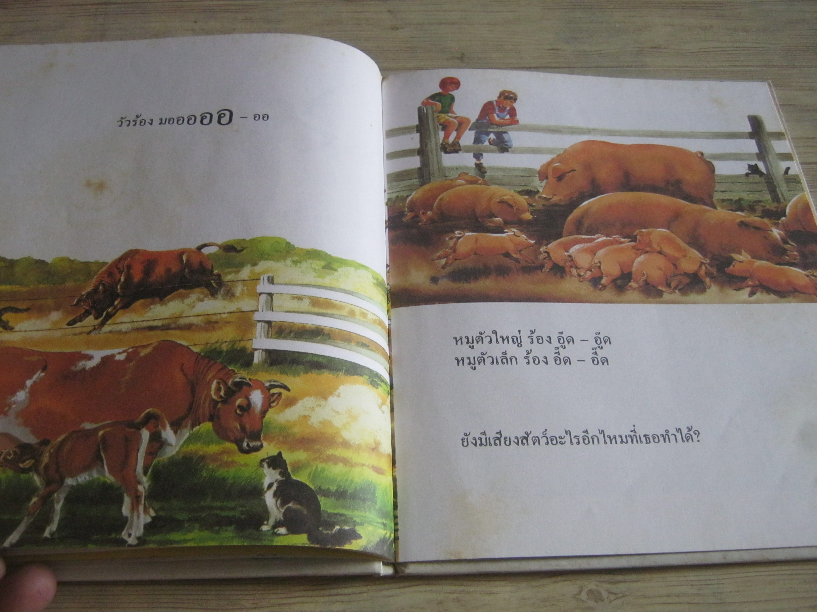 สารานุกรมสำหรับเด็กเล็ก หนังสือเรื่องเสียงต่าง ๆ รศ.ทรรศนียา กัลยาณมิตร แปล