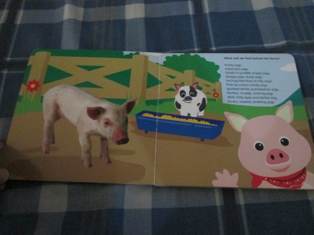 Baby Einstein: Baby MacDonald on the Farm หนังสือเสริมพัฒนาการด้านภาษาอังกฤษมือสอง