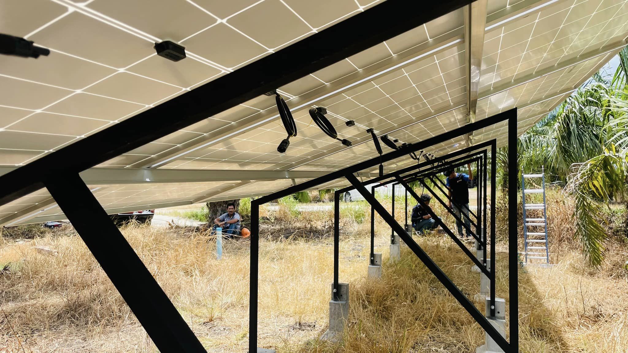 ชุดซัมเมิสปั้มบาดาล ขนาด 3 แรงม้า สวนปาล์มน้ำมัน