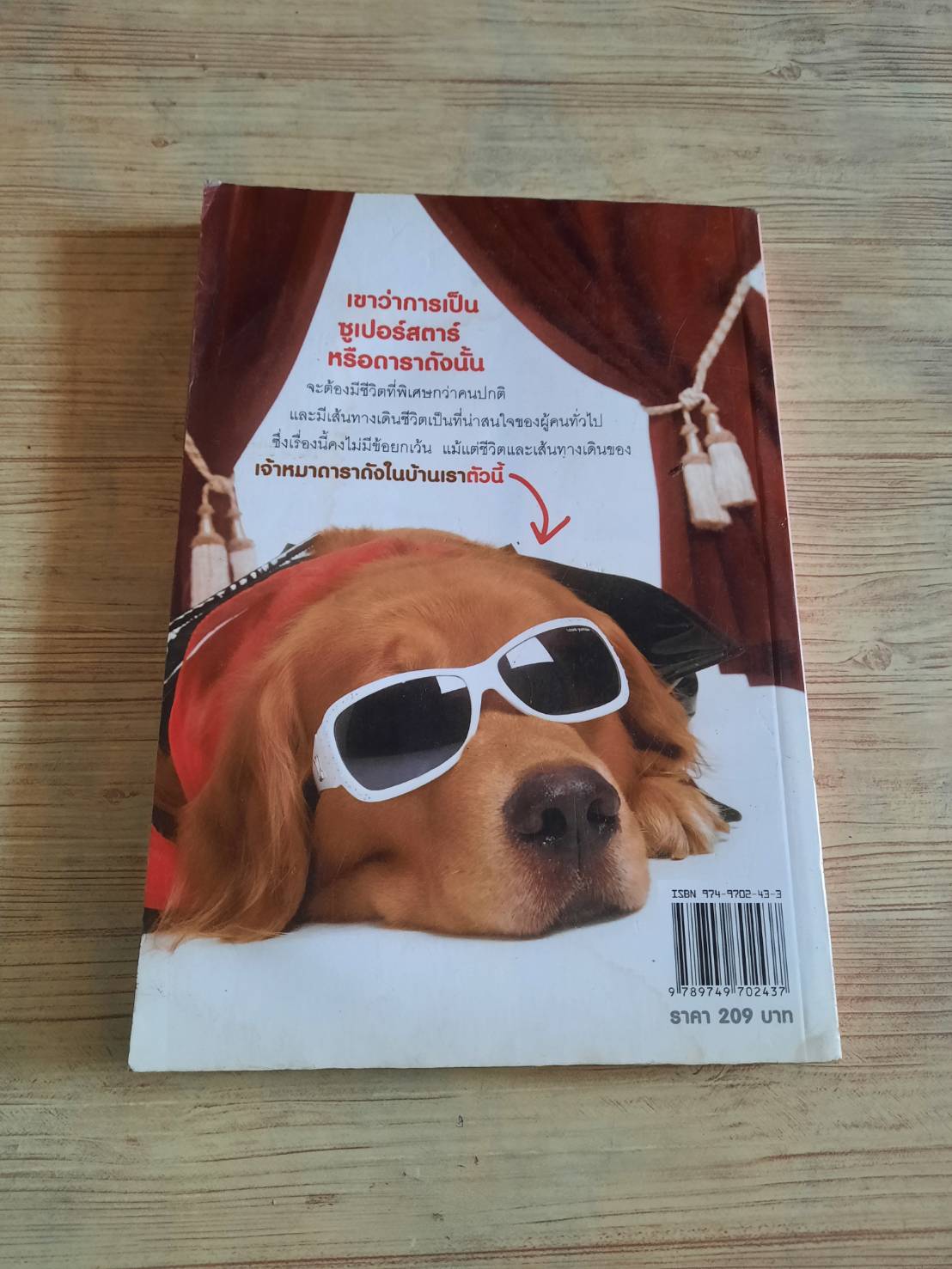 ผมชื่อคิงคองคร้าบ เล่ม 3 ตอน ซูเปอร์สตาร์สี่ขา วัสชนะ พรหมประสิทธิ์ เขียน