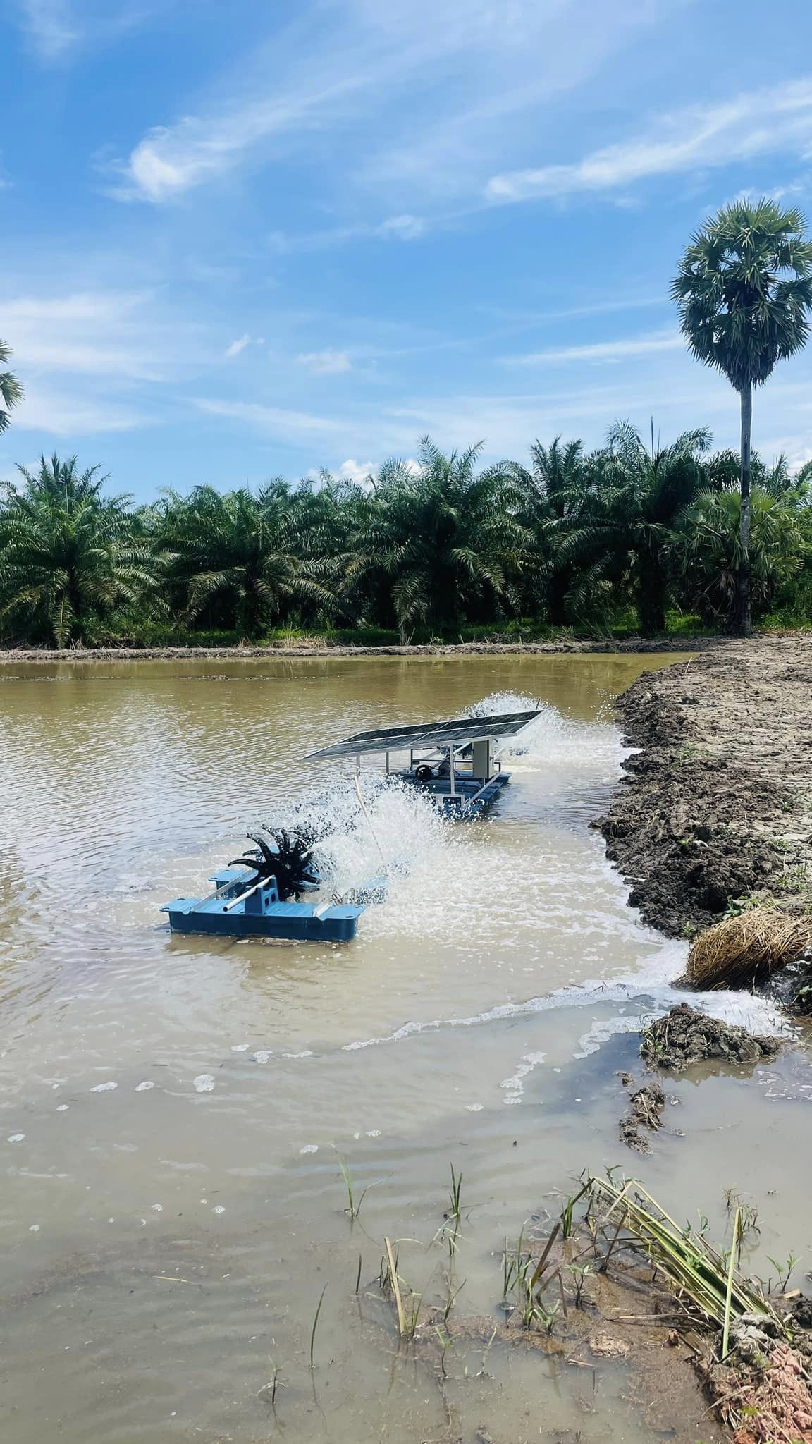 ชุดกังหันตีน้ำพลังงานแสงอาทิตย์ 12 ใบพัด 1 HP (รุ่นพิเศษ) พร้อมใช้งาน จัดส่งทั่วประเทศ