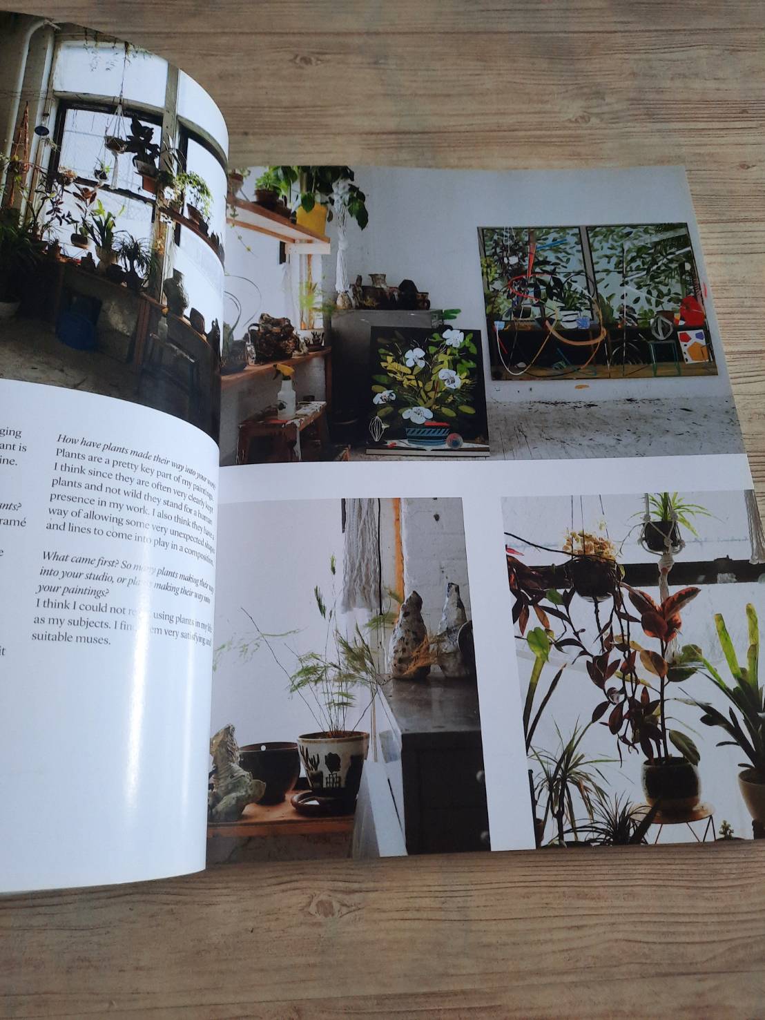 Indoor Green Living with Plants By Mr.Kitly's Bree Claffey Photography By Lauren Barnford