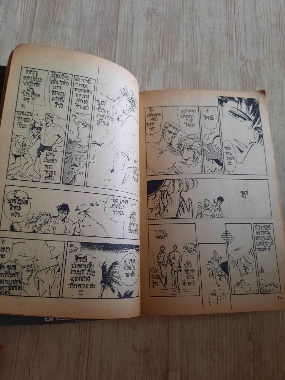 คู่รักชุลมุน เล่มเดียวจบ