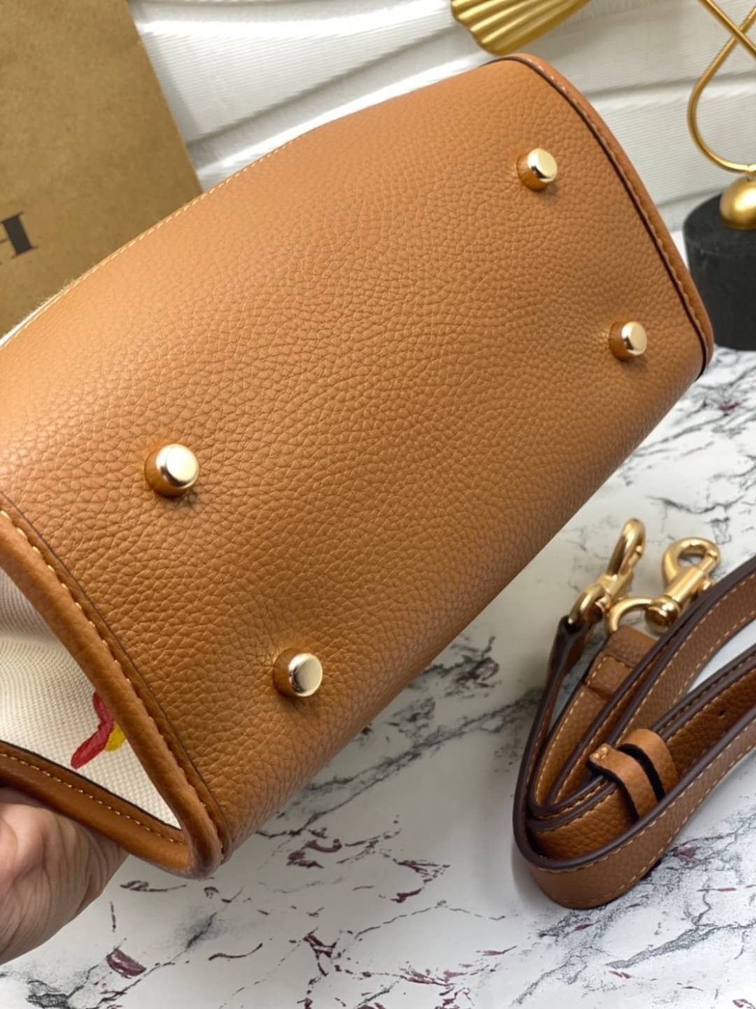 COACH DEMPSEY TOTE 22 WITH DREAMY VEGGIE PRINT (COACH C8253) พร้อมส่งที่ไทย