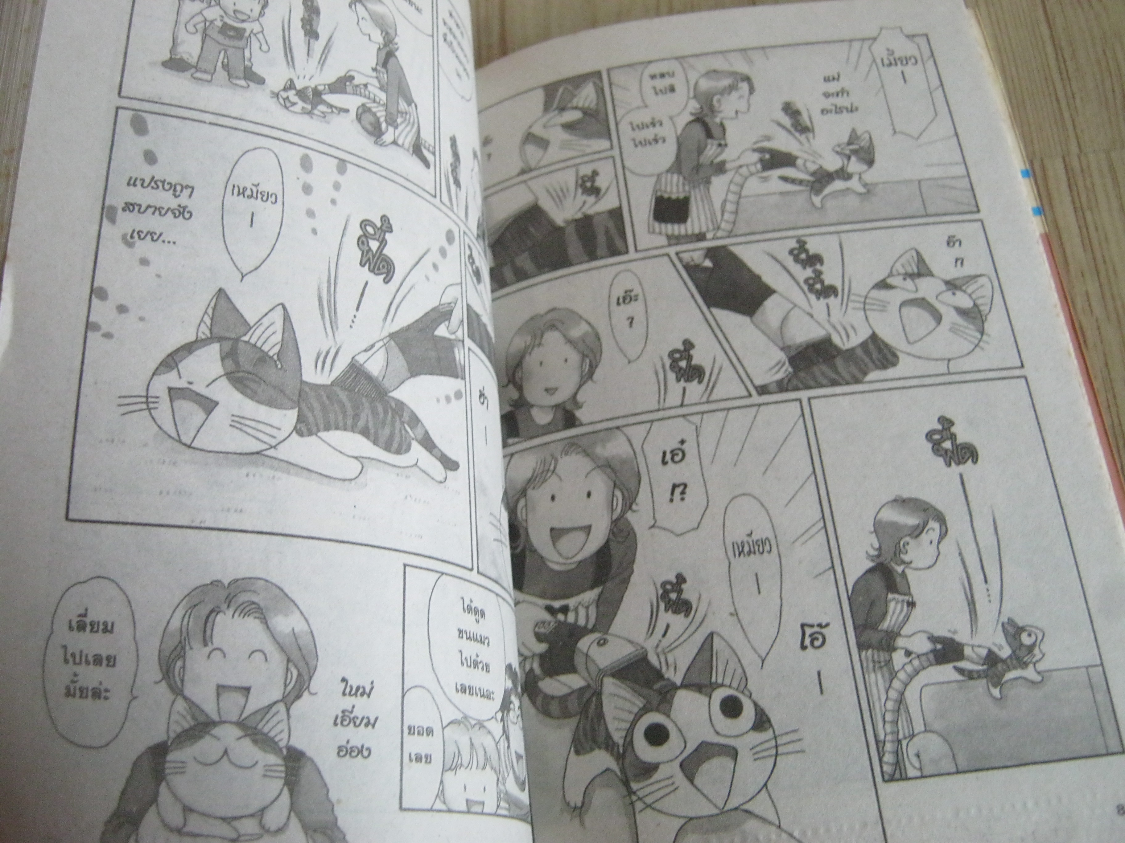 CHI'S SWEET HOME เล่ม 6 Konami Kanata เขียน