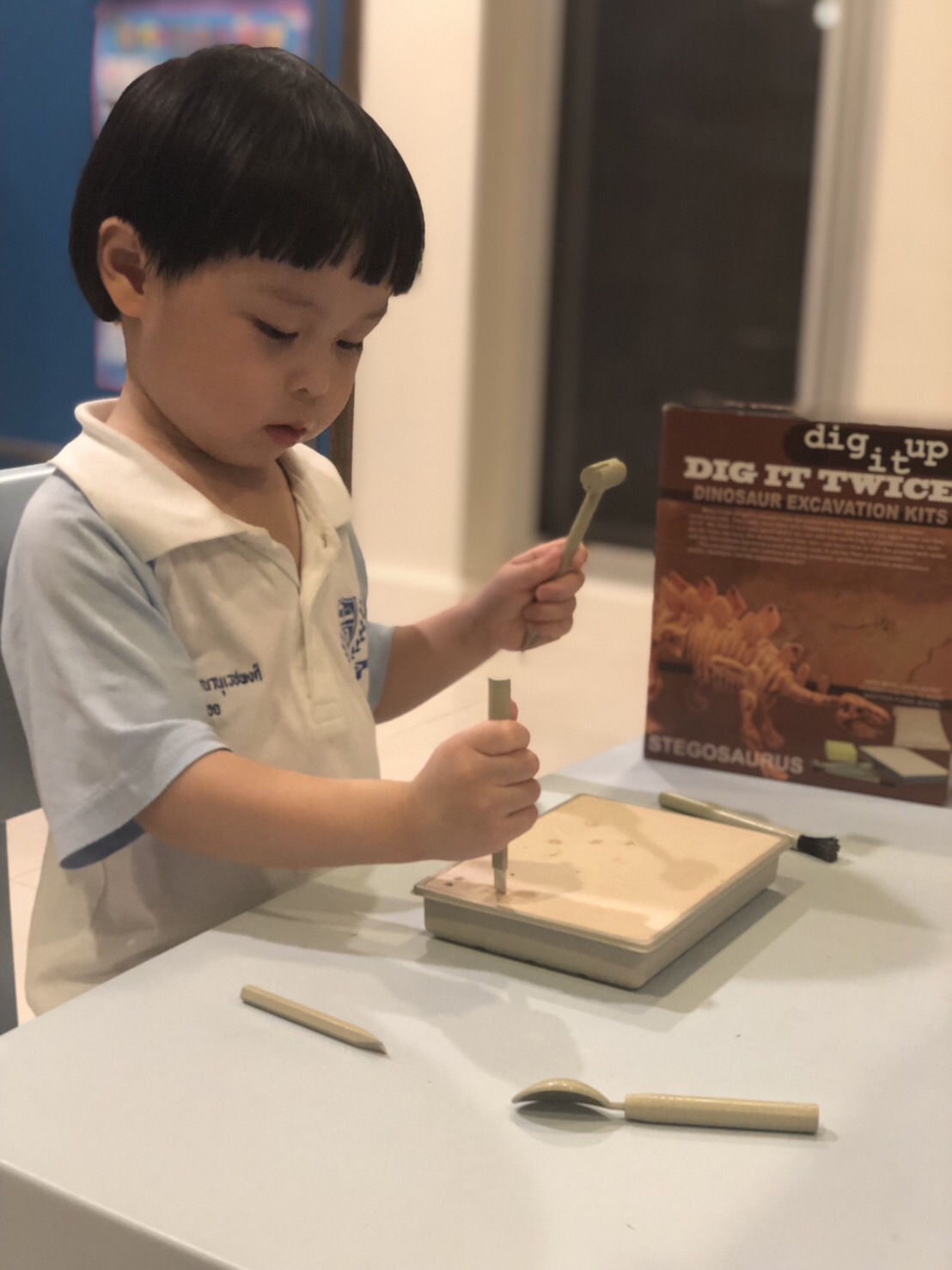 ชุดขุดฟอสซิลDig it Twice (แบบเล่นสองรอบ ขุดแล้วนำมาประกอบเป็นโมเดลได้)