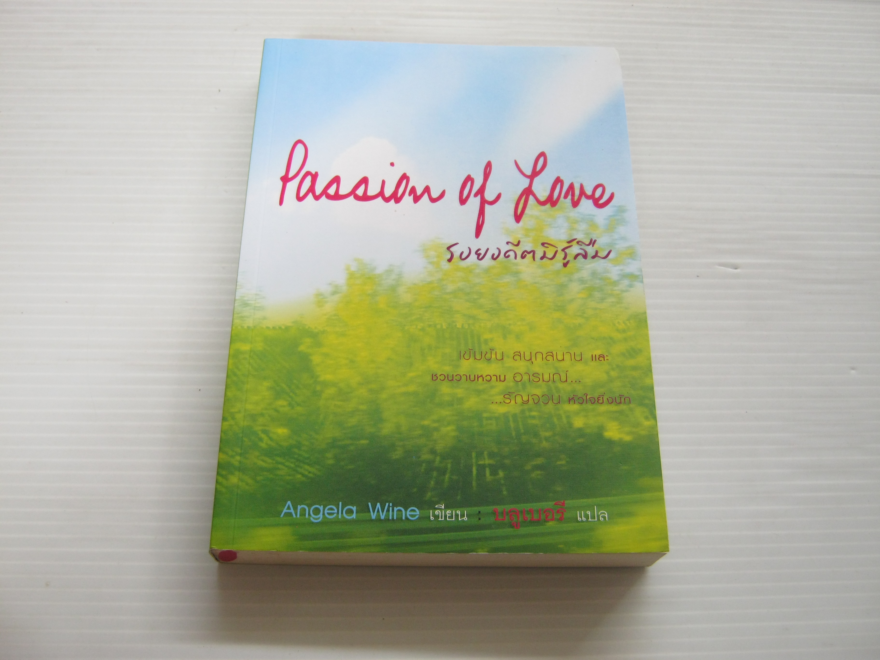 รอยอดีตมิรู้ลืม (Passion of Love) Angela Wine เขียน บลูเบอรี แปล