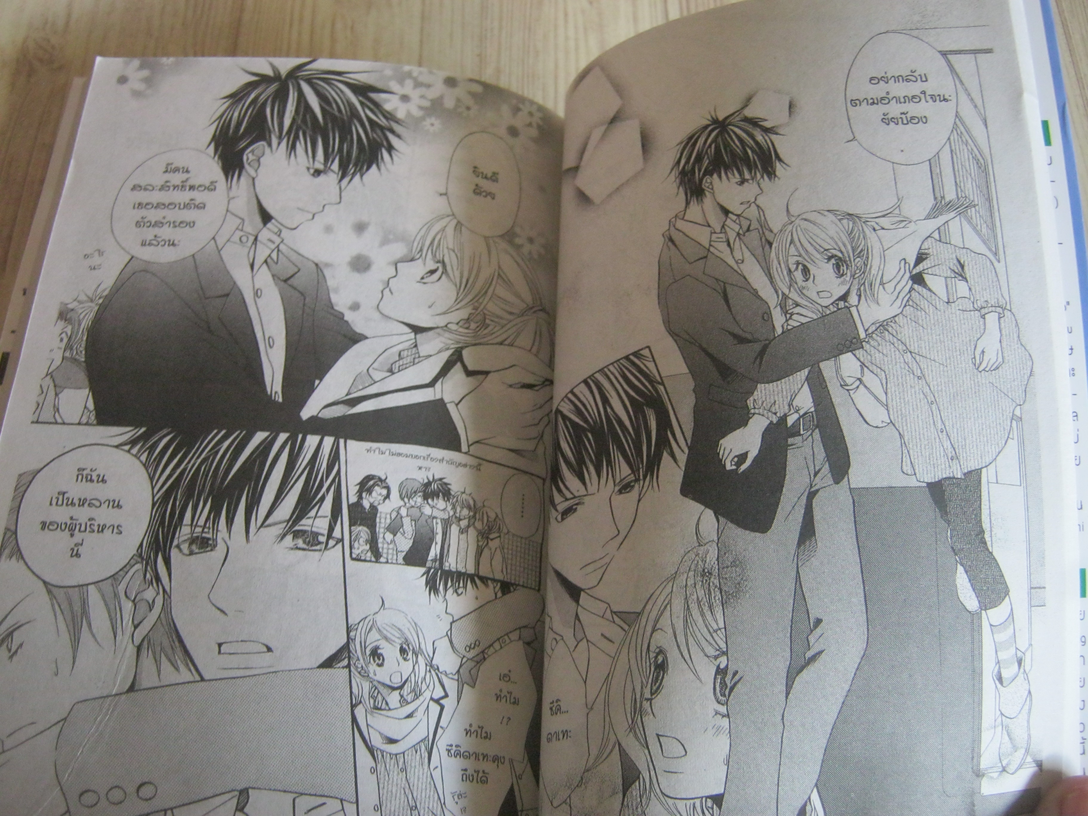 สาวใช้จอมวุ่นกับคุณชายจอมเฮี้ยบ เล่มเดียวจบ Washio Mie เขียน