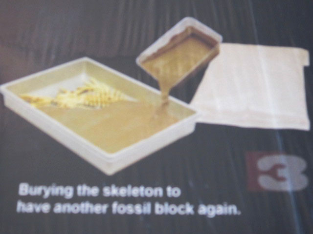 ชุดขุดฟอสซิลDig it Twice (แบบเล่นสองรอบ ขุดแล้วนำมาประกอบเป็นโมเดลได้)