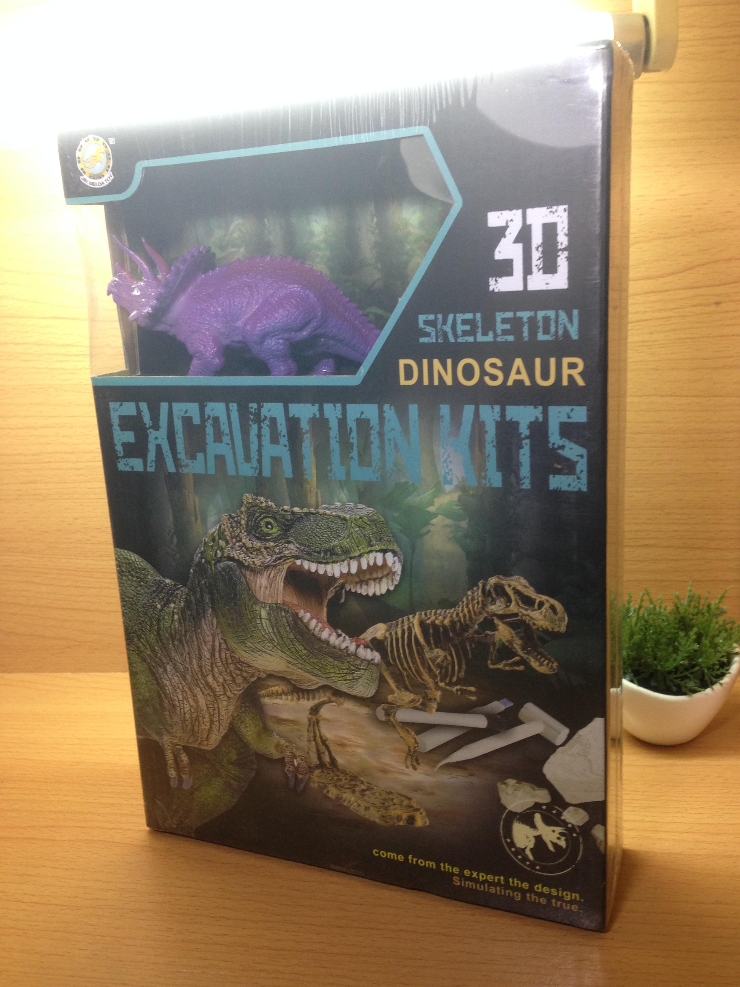 ชุดฟอสซิลไดโนเสาร์และนำมาประกอบโครงกระดูกได้พร้อมตัวตุ๊กตาโมเดล