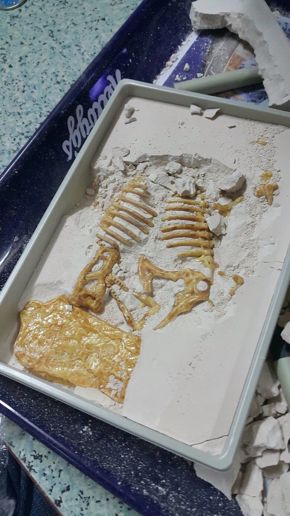 ชุดขุดฟอสซิลDig it Twice (แบบเล่นสองรอบ ขุดแล้วนำมาประกอบเป็นโมเดลได้)