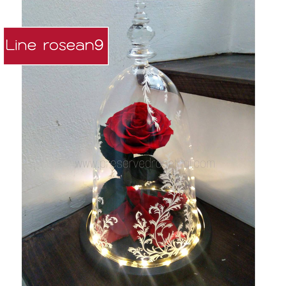 กุหลาบในโดมแก้ว Bell