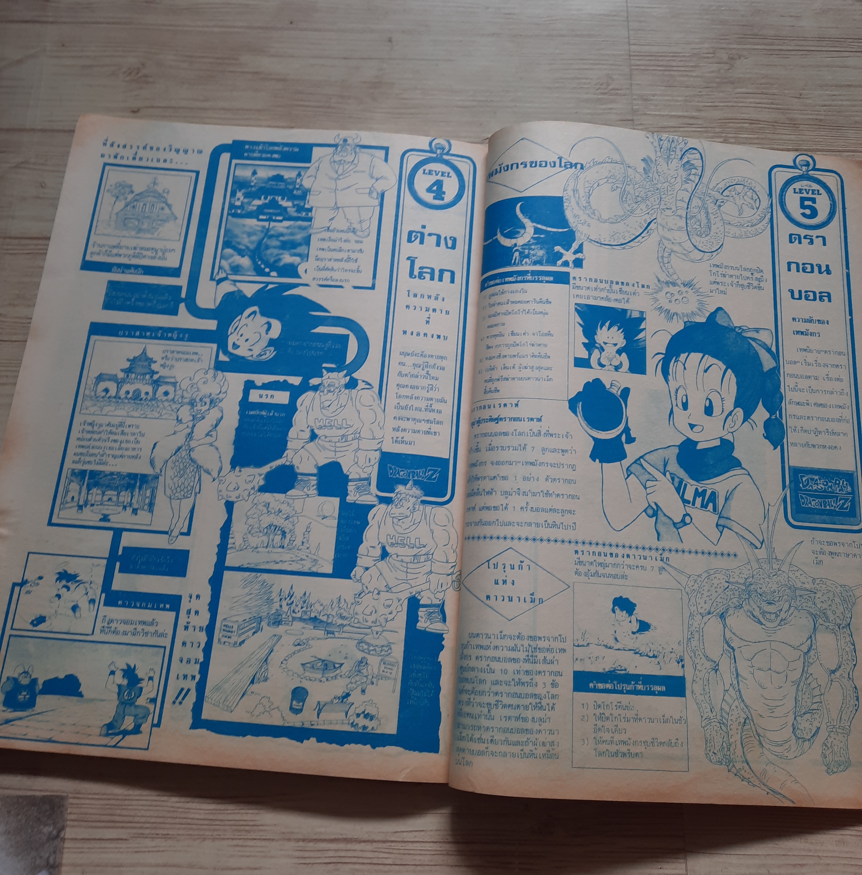 หนังสือรวมภาพ DRAGONBALL Z (เล่มใหญ่)