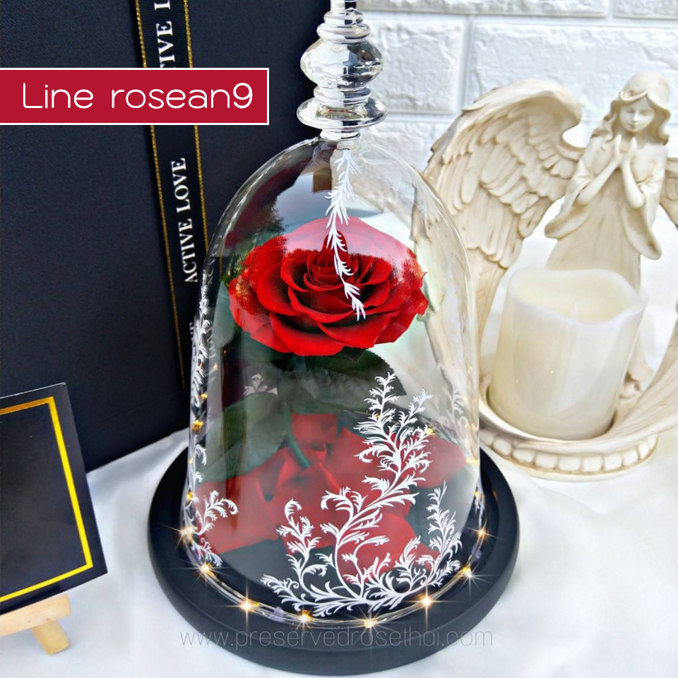 กุหลาบในโดมแก้ว Bell