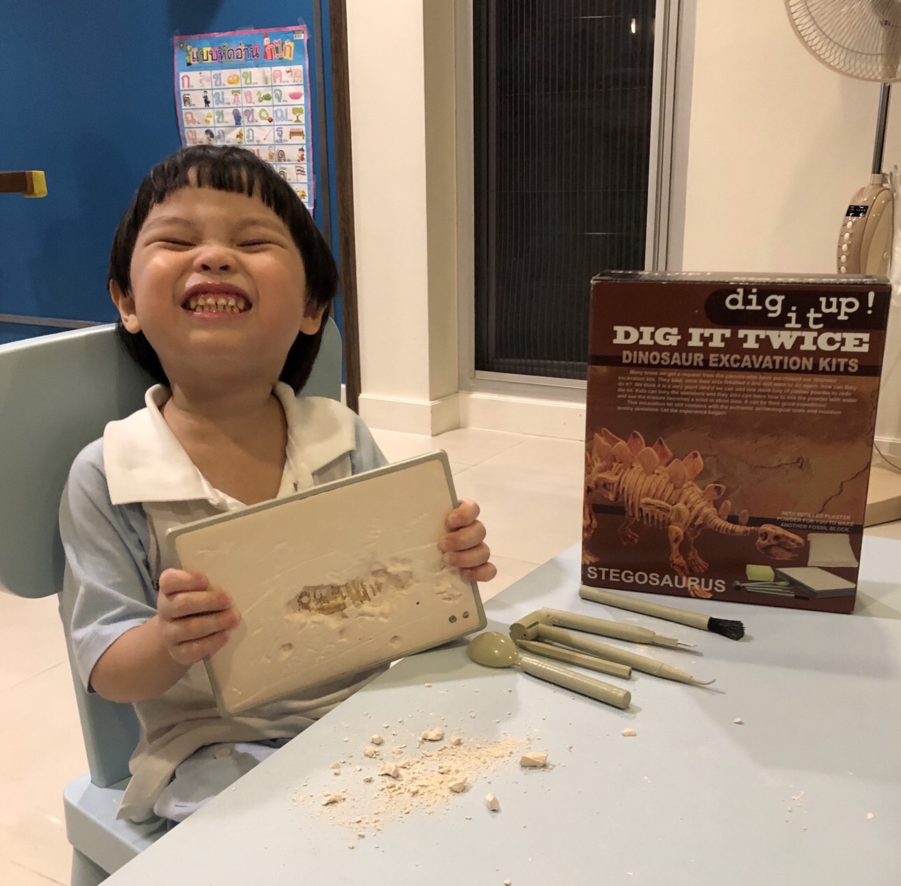 ชุดขุดฟอสซิลDig it Twice (แบบเล่นสองรอบ ขุดแล้วนำมาประกอบเป็นโมเดลได้)