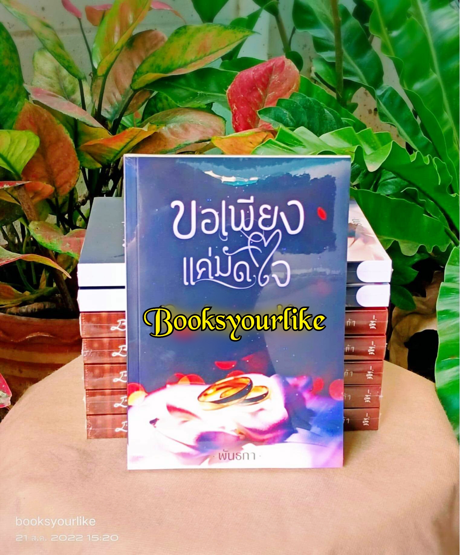 ขอเพียงแค่ที่มัดใจ,ผู้แต่ง,พันธกา,นิยายรักทำมือ