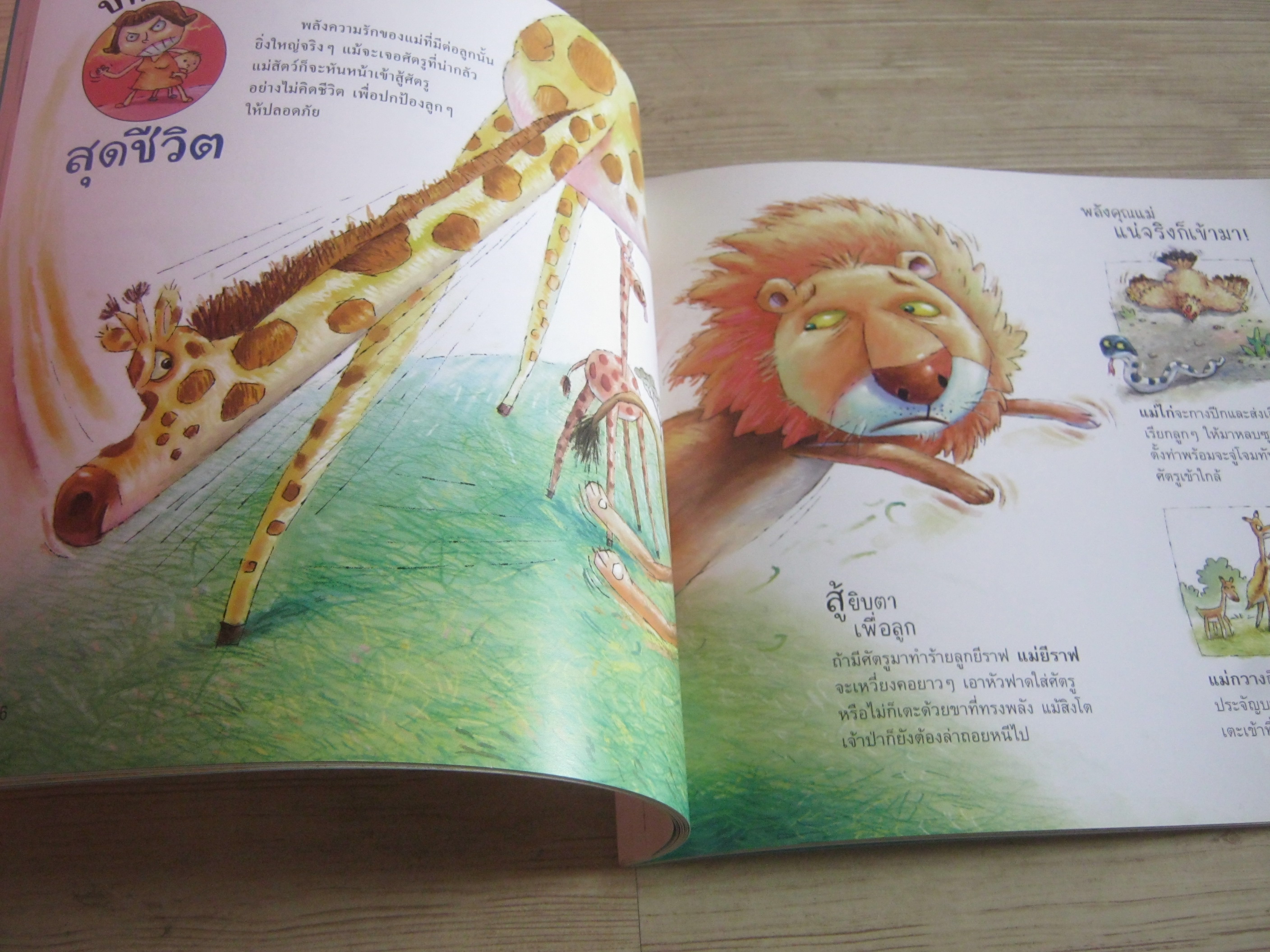 หนังสือชุดวิทยาศาสตร์รุ่นเยาว์ แปลกแต่จริง เอ๊ะ ! คนทำแบบนี้ สัตว์ทำแบบไหน ? รัตนา คชนาท เรื่อง วินิจ ยีสมัน ภาพ