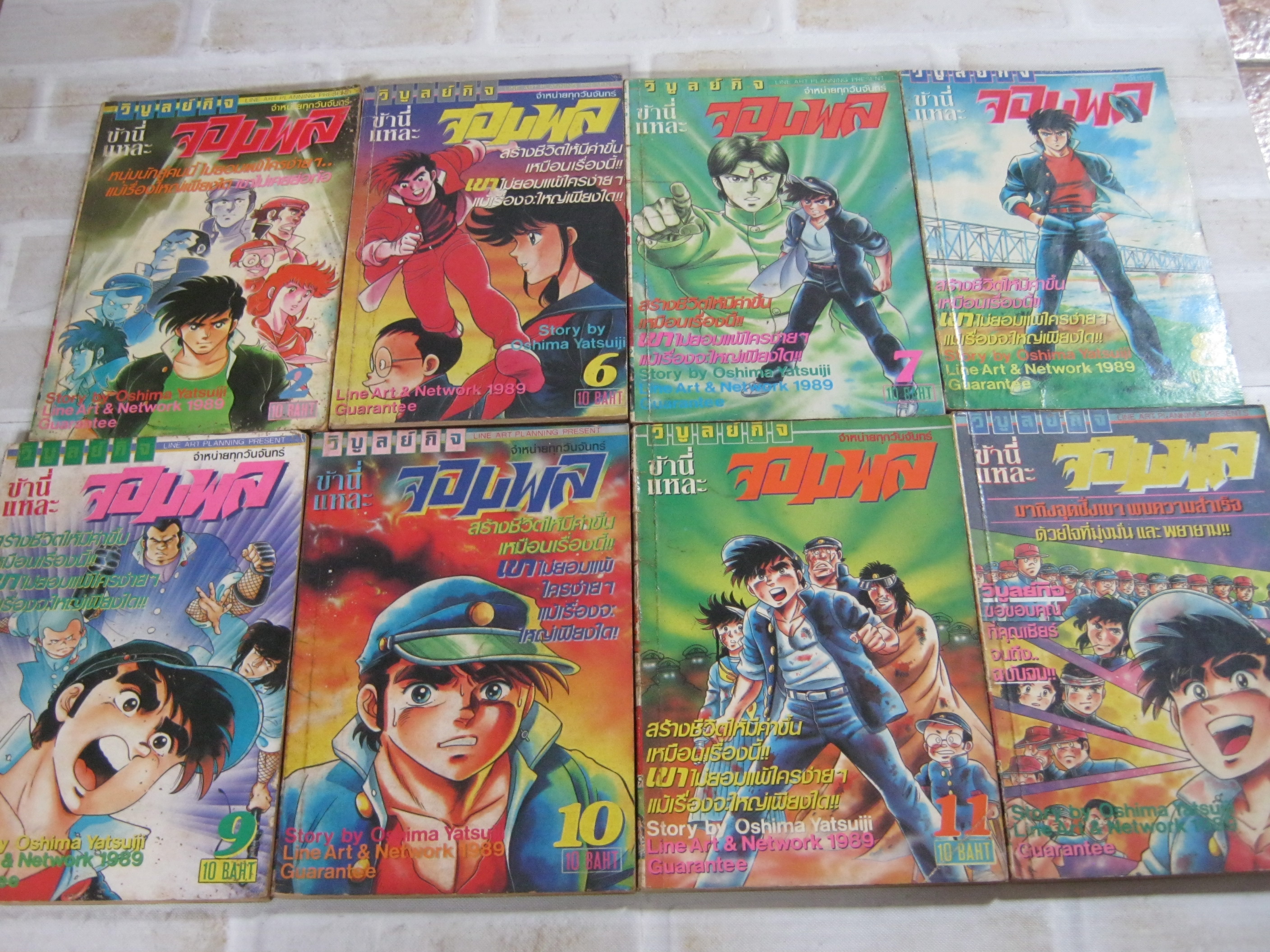 ข้านี่แหละจอมพล ชุด เล่ม 2,6,7,8,9,10,11,12 ( 12 เล่มจบ ) ขาดเล่ม 1,3,4,5***สินค้าหมด***