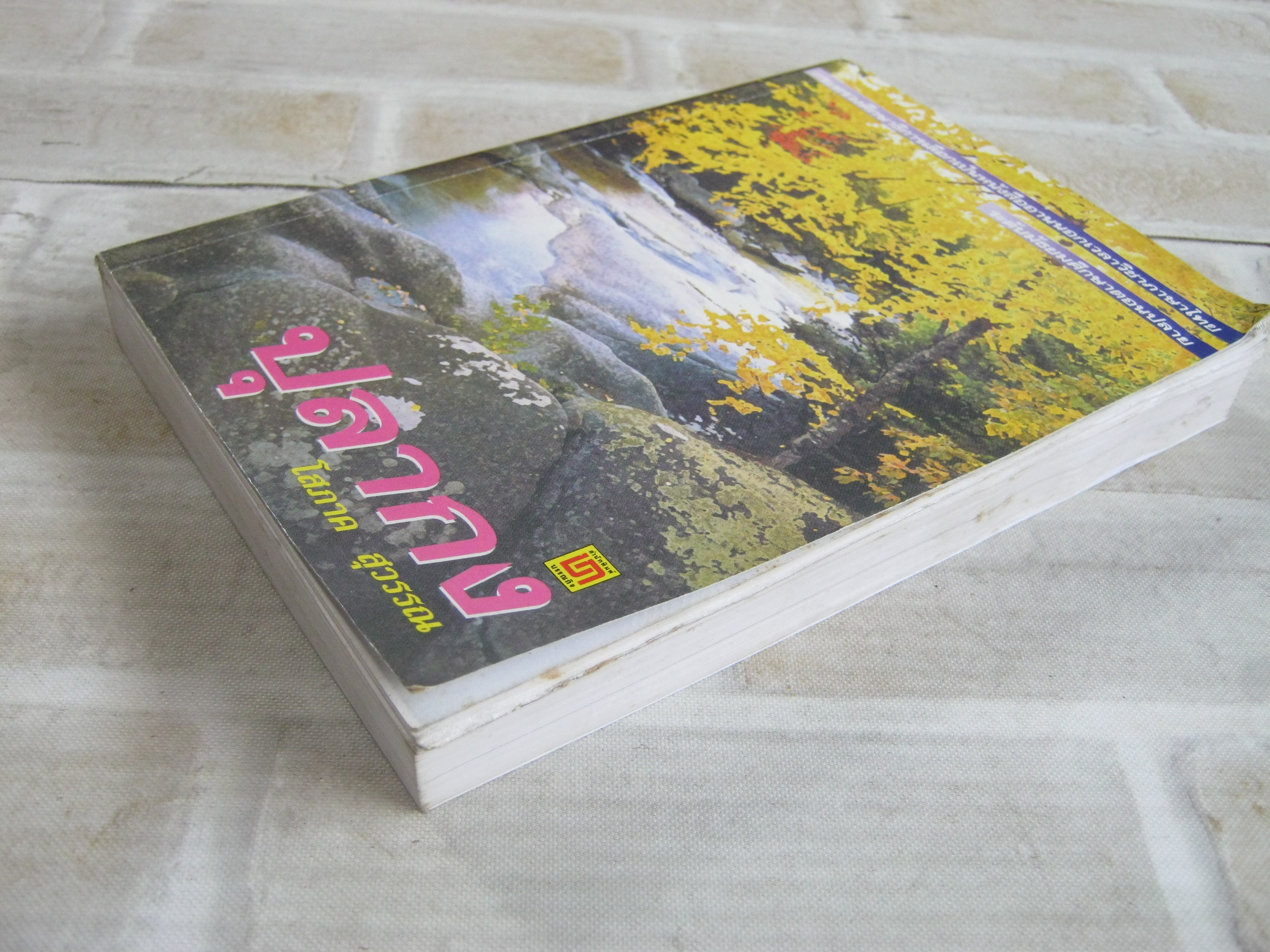 ปุลากง โสภาค สุวรรณ เขียน***สินค้าหมด***