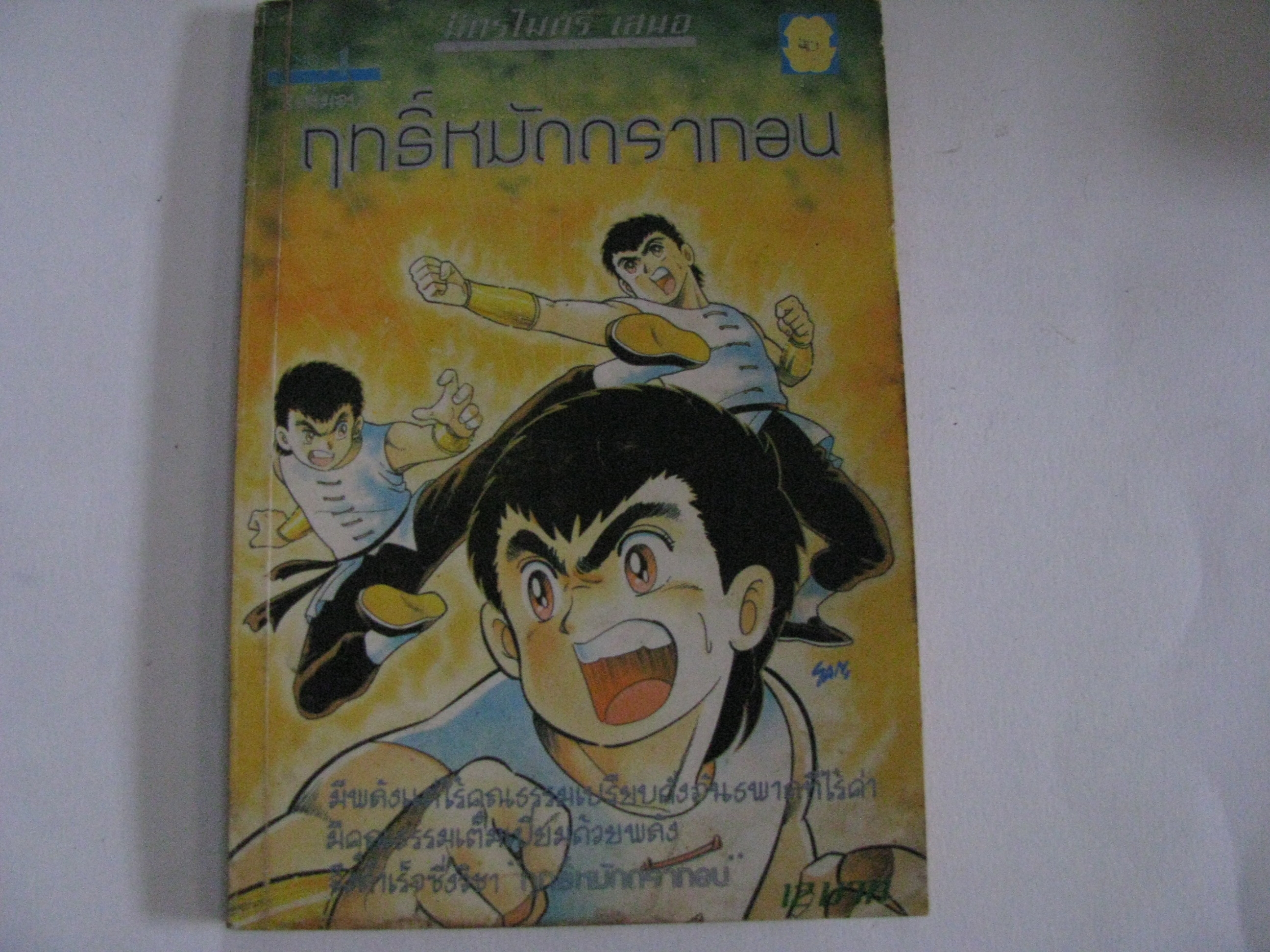 ฤทธิ์หมัดดรากอน เล่ม 1***สินค้าหมด***