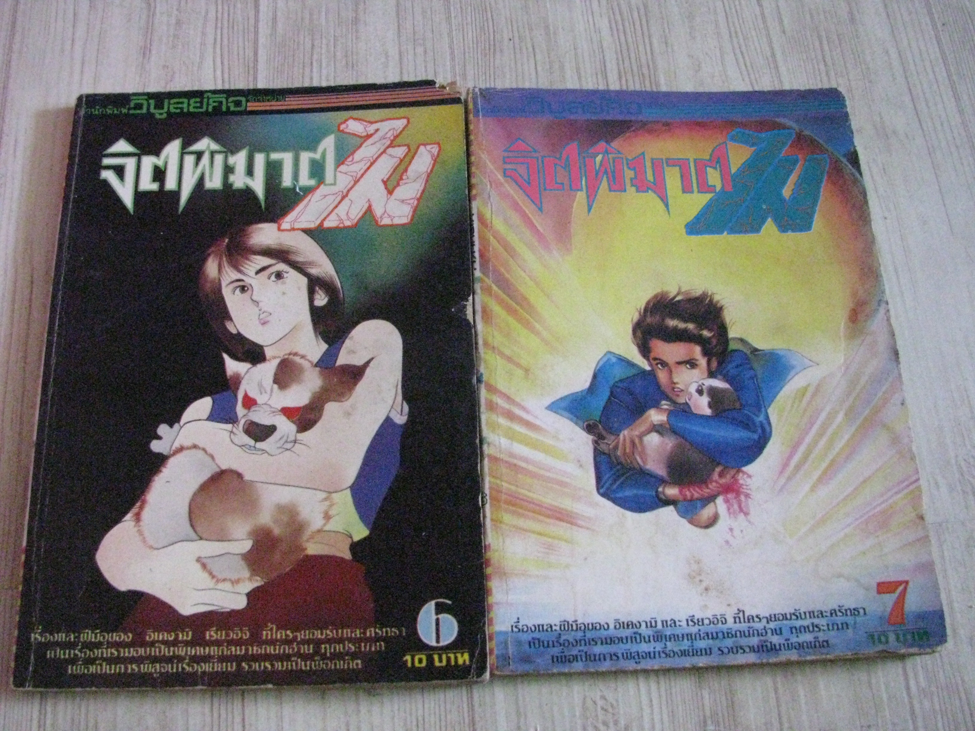 จิตพิฆาตไม ชุด เล่ม 6,7