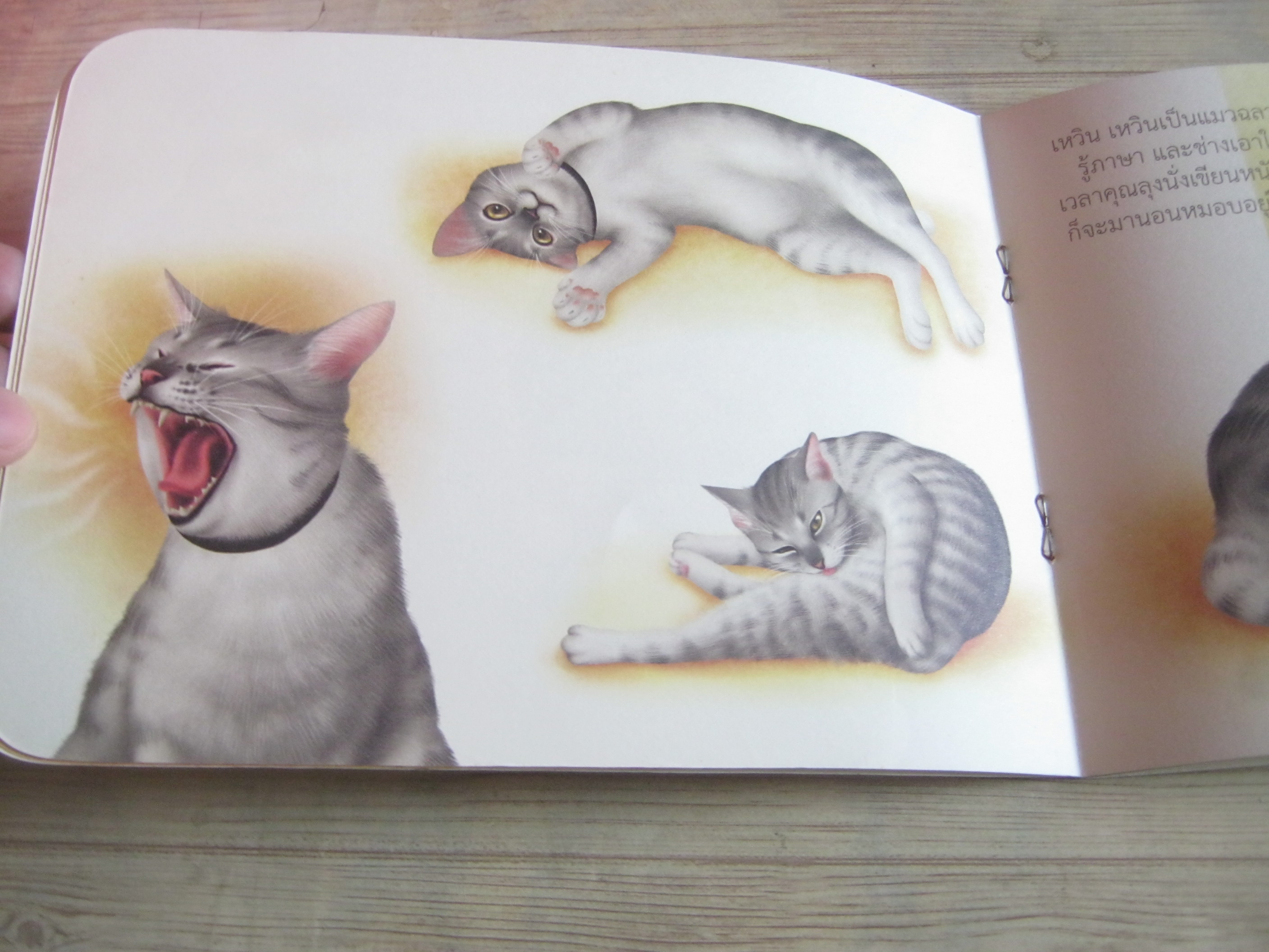 เหวิน เหวิน น้าเมฆ เรื่อง พี่พิมพ์ ภาพ