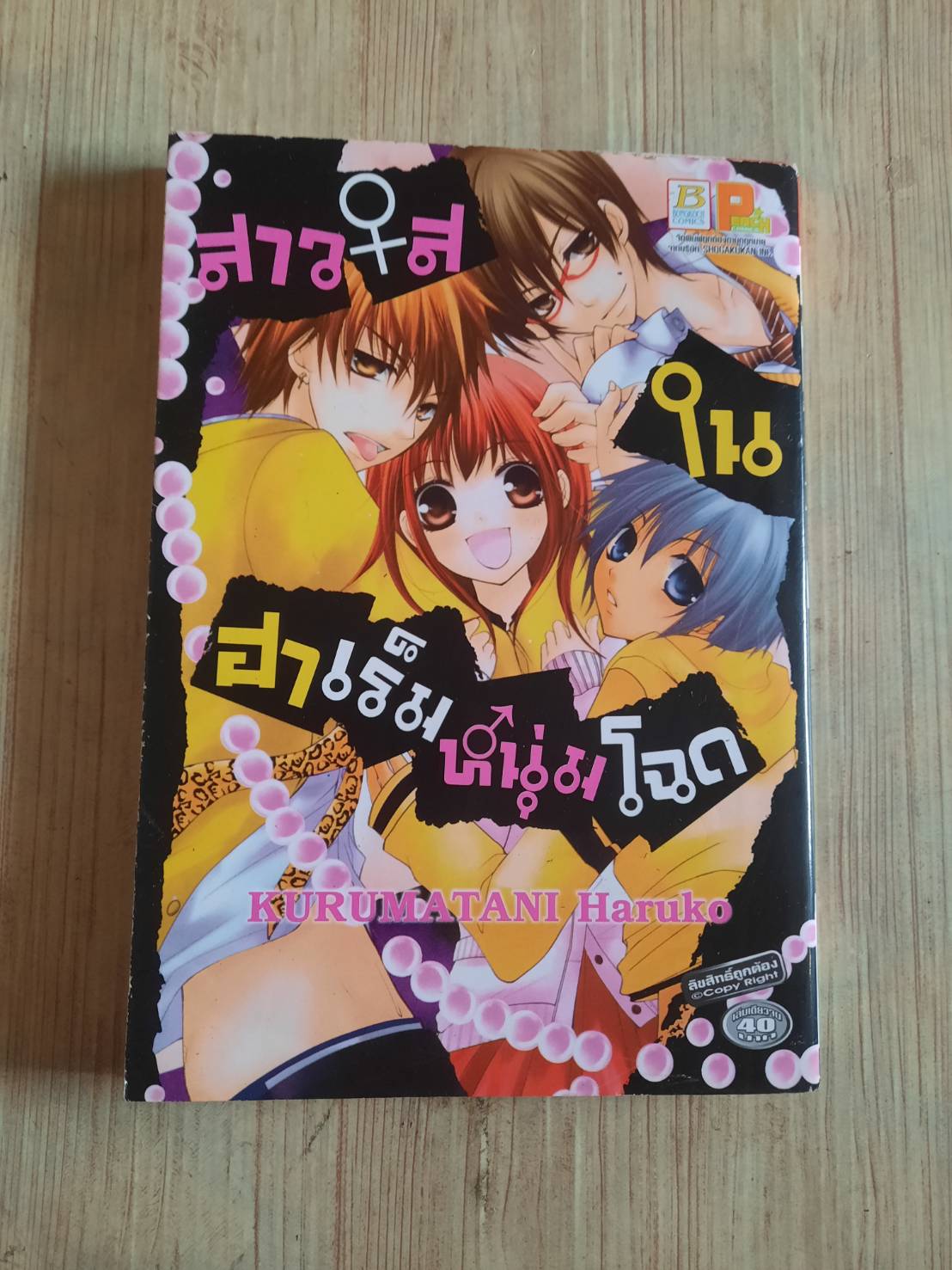 สาวใสในฮาเร็มหนุ่มโฉด เล่มเดียวจบ***สินค้าหมด***