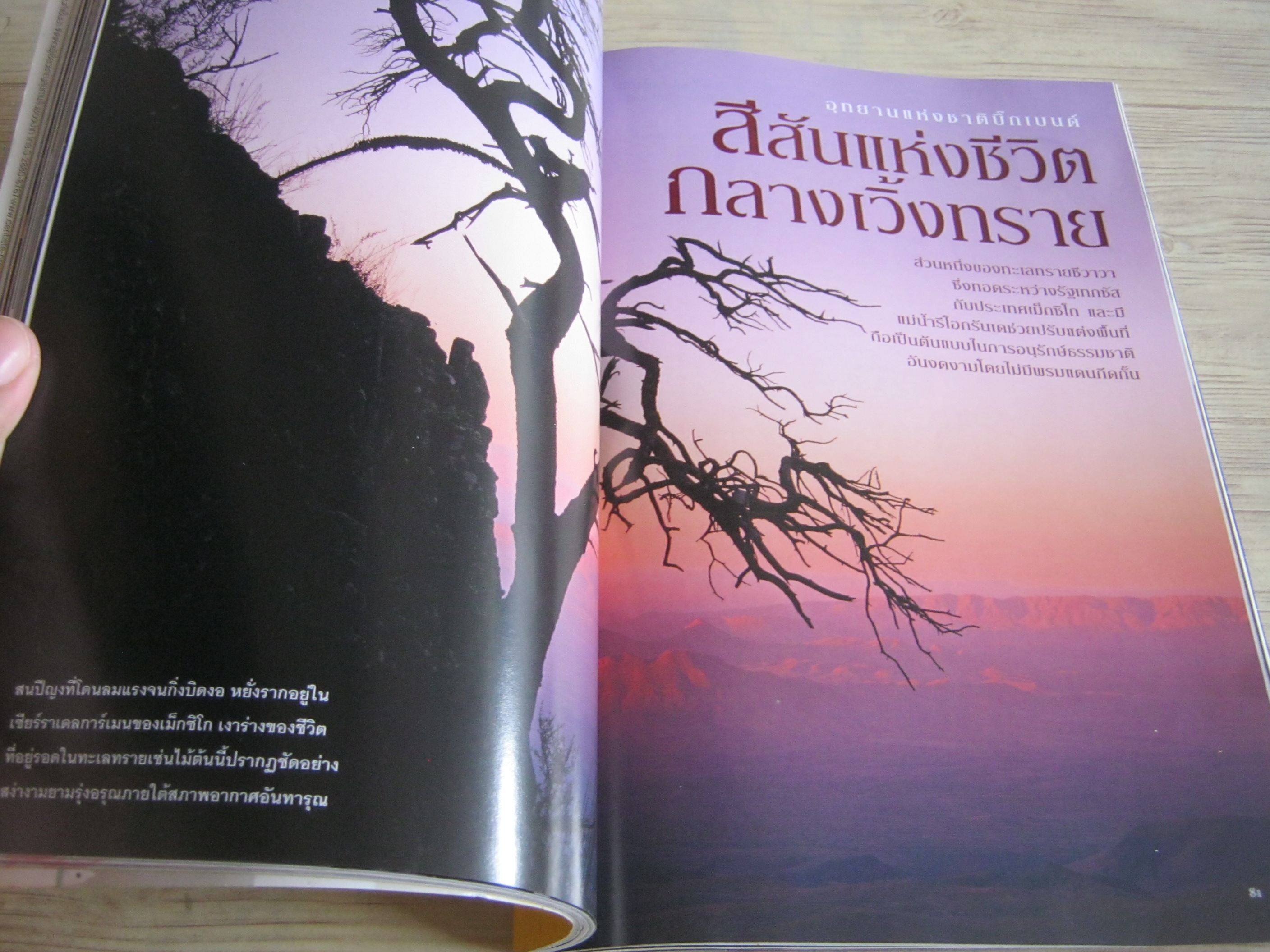 NATIONAL GEOGRAPHIC ฉบับภาษาไทย กุมภาพันธ์ 2550 รักษาหัวใจไม่ให้เจ็บ