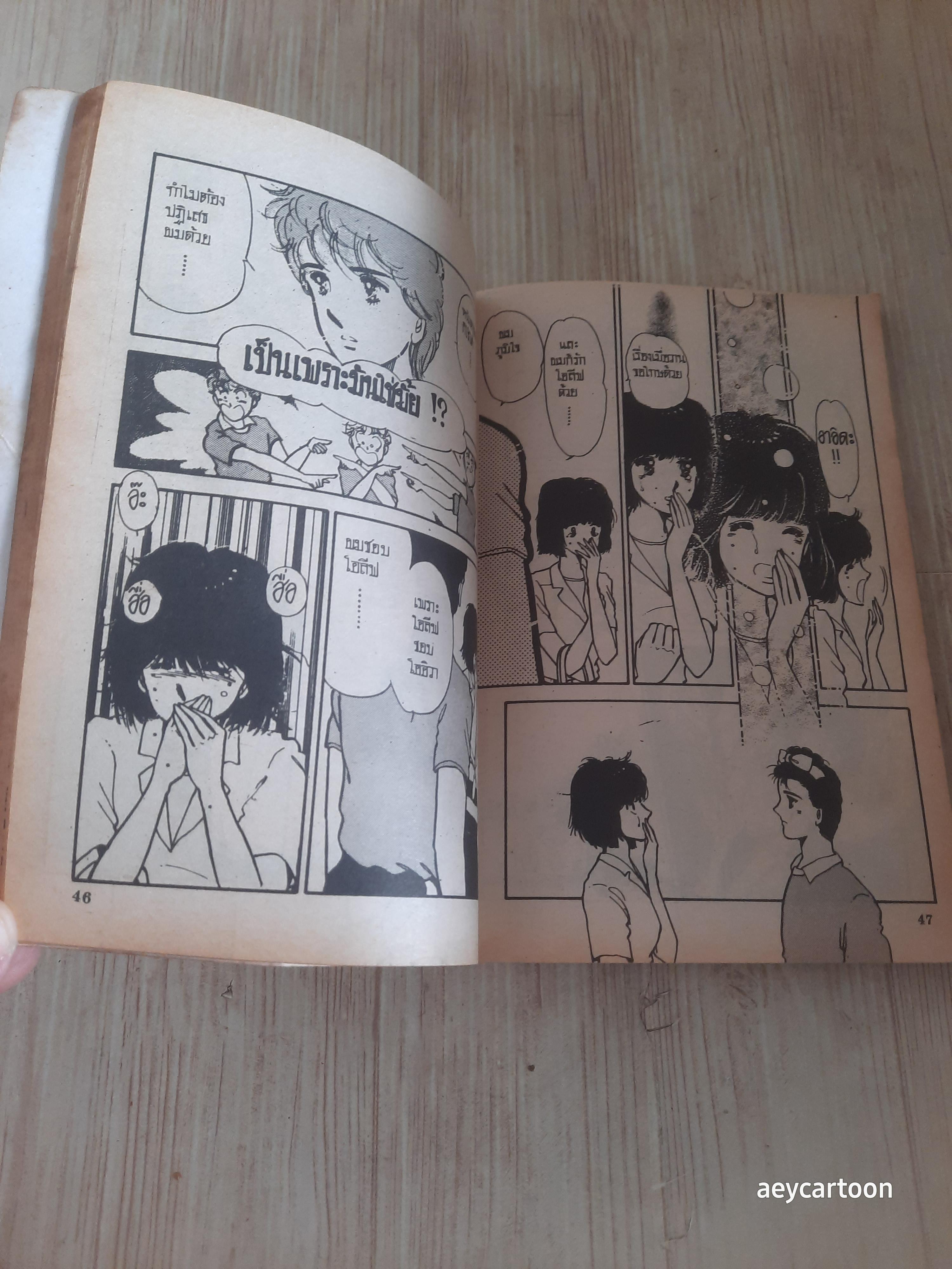 แทรกรักไว้ในใจ เล่มเดียวจบ***สินค้าหมด***