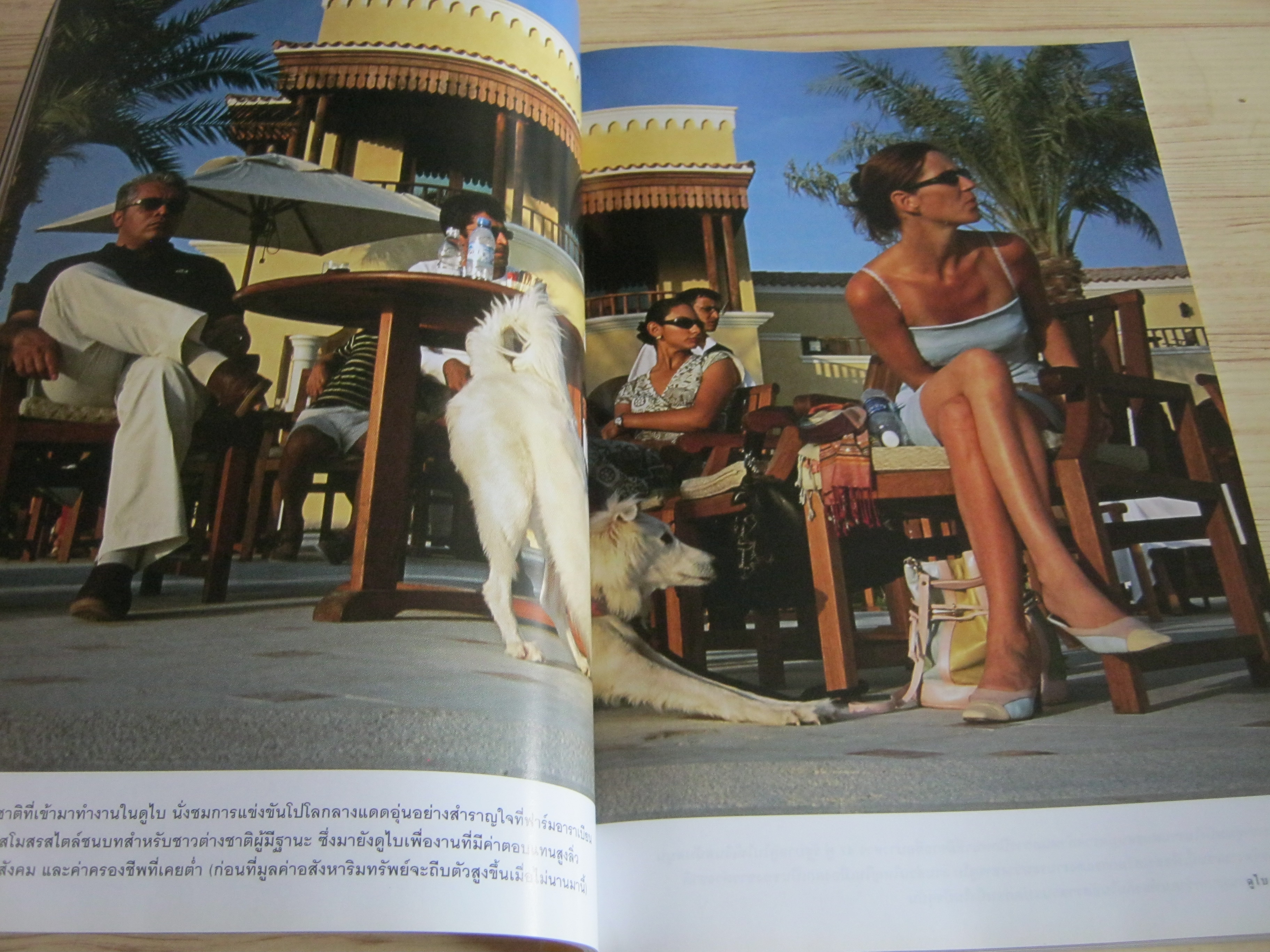 NATIONAL GEOGRAPHIC ฉบับภาษาไทย มกราคม 2550 ฮัมมิงเบิร์ด นกมหัศจรรย์