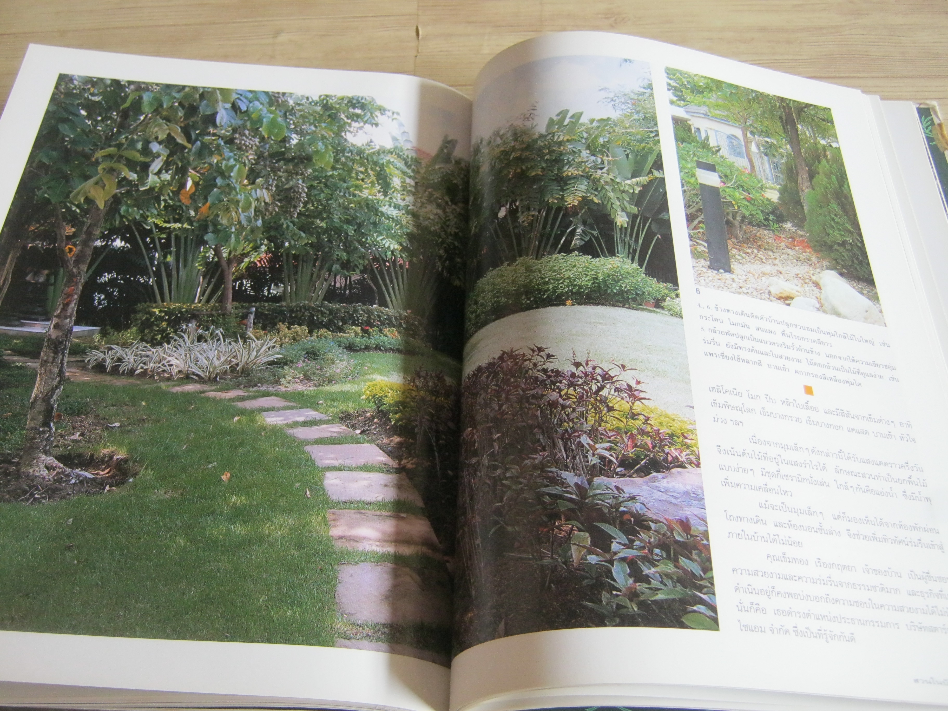 คู่มือการจัดและตกแต่ง สวนในบ้าน เล่ม 1 พิมพ์ครั้งที่ 14 โดย กองบรรณาธิการนิตยสารบ้านและสวน