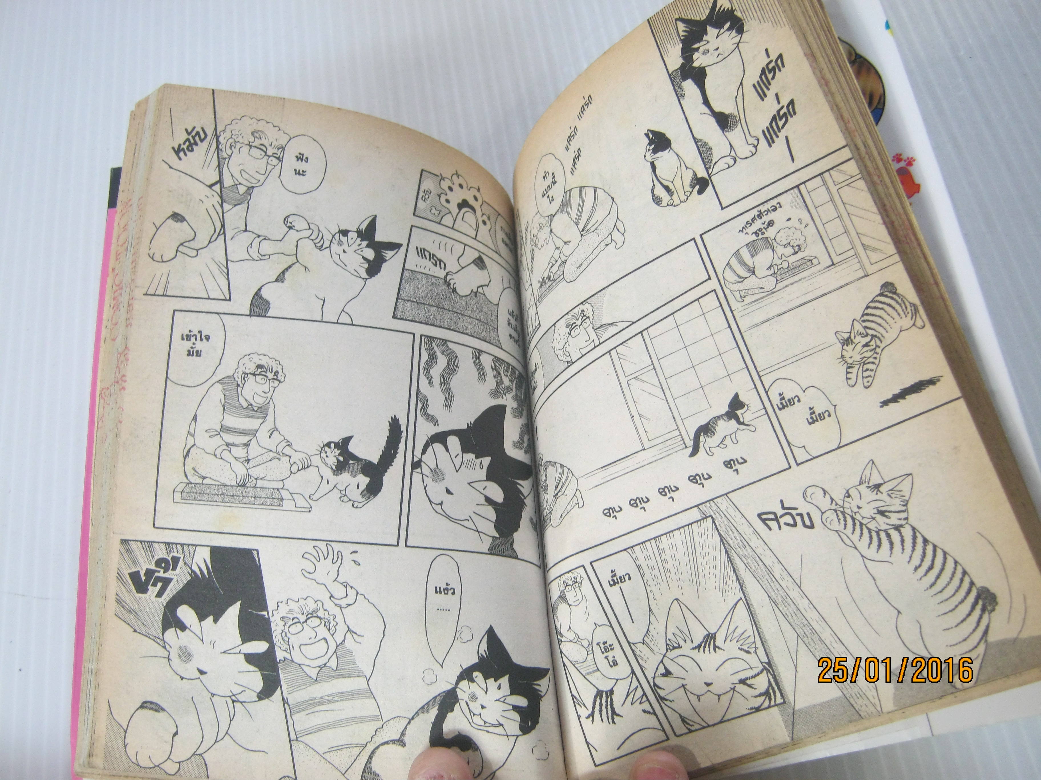 แง้วแง้ว แมวอย่างเดียวไม่เกี่ยวกับคน ! ชุด เล่ม 1,2,4,5,7 Hogara Numata & Kanata Konami เขียน