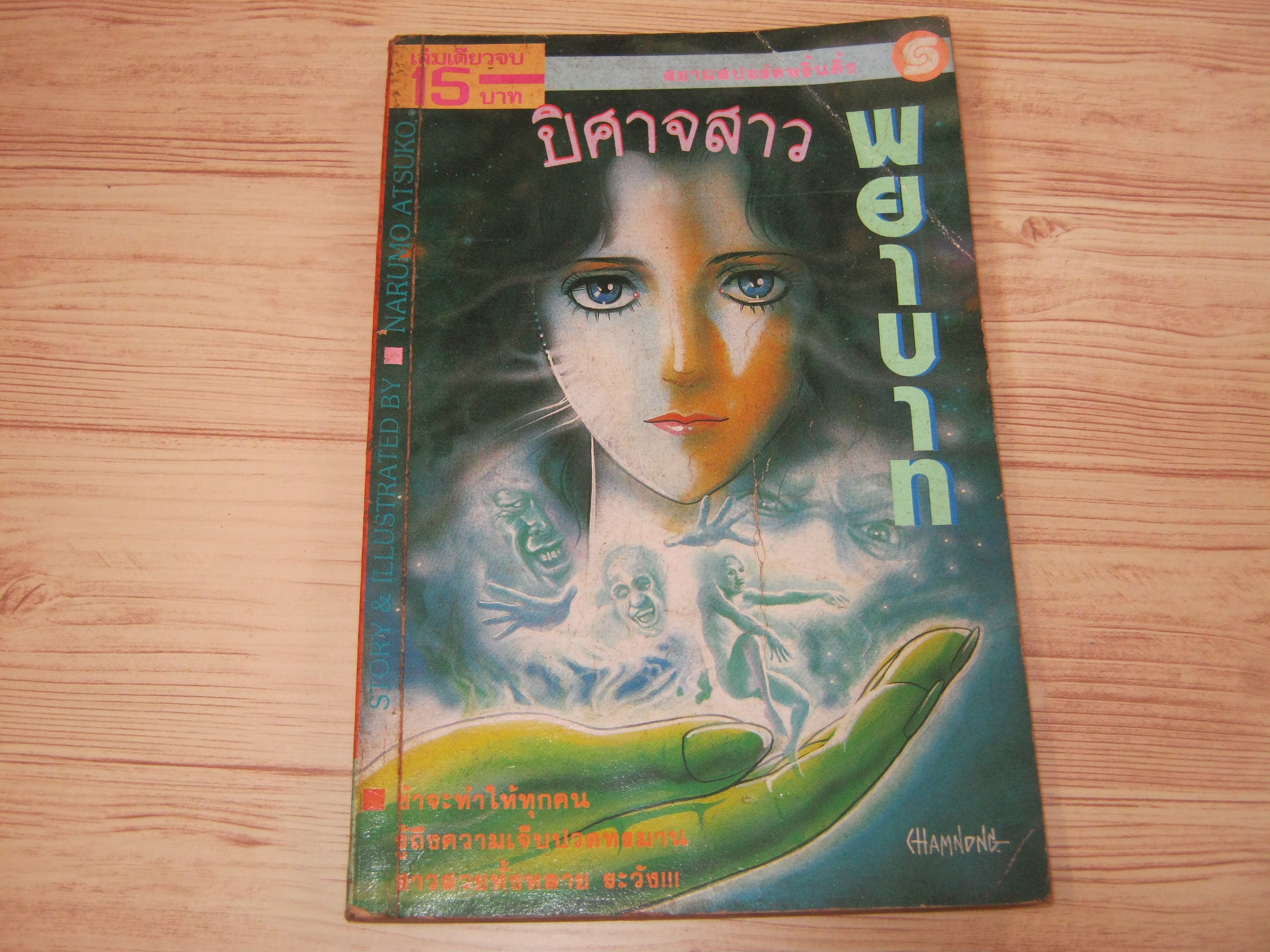 ปีศาจสาวพยาบาท เล่มเดียวจบ***สินค้าหมด***