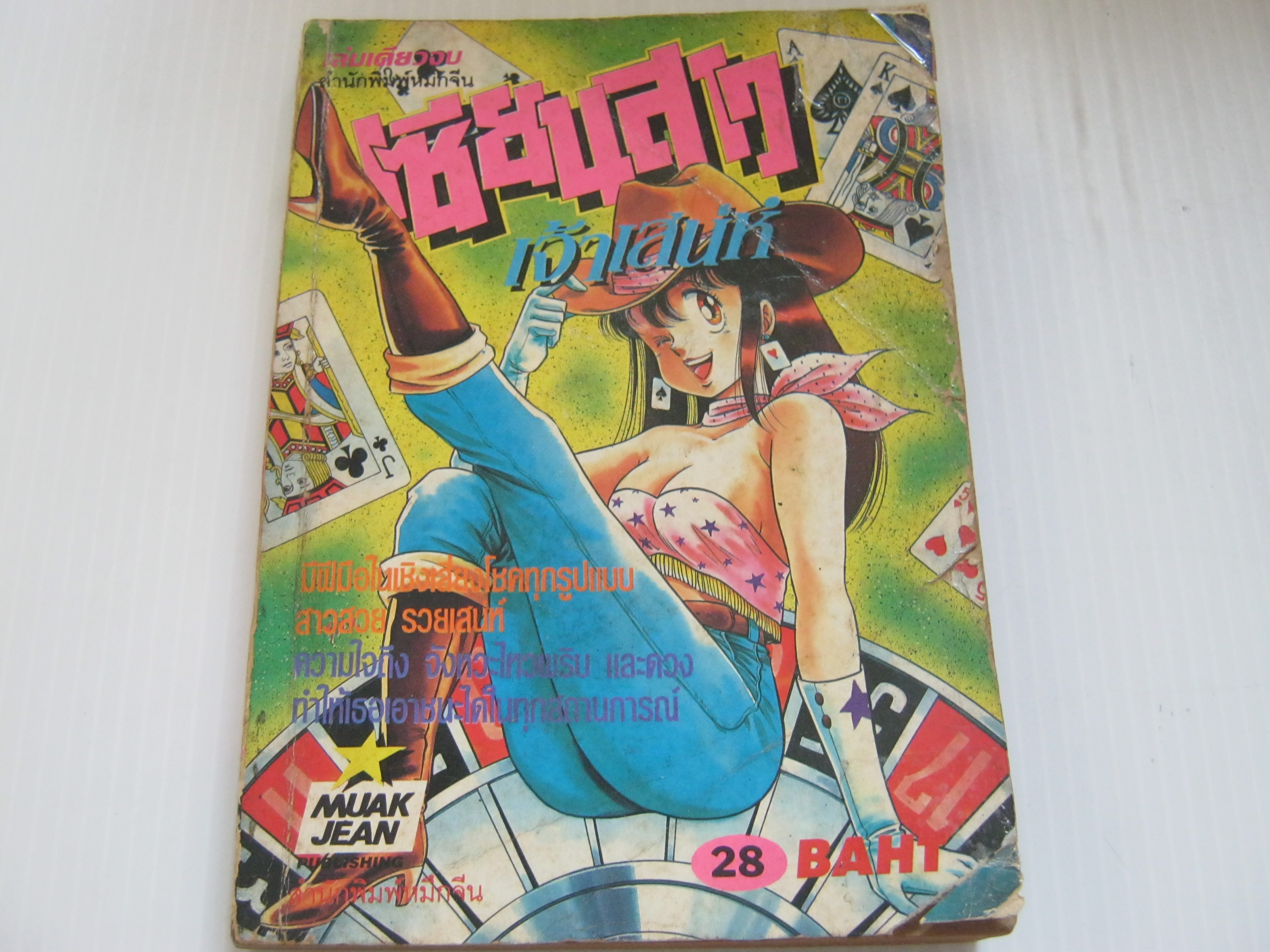 เซียนสาวเจ้าเสน่ห์ เล่มเดียวจบ Yasuhiro Nakanishi เขียน***สินค้าหมด***